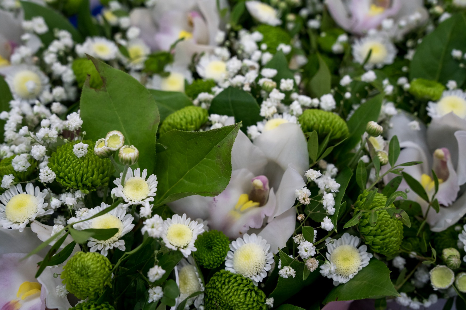 Конкурс Воспитатель года. Галерея ПрофАС