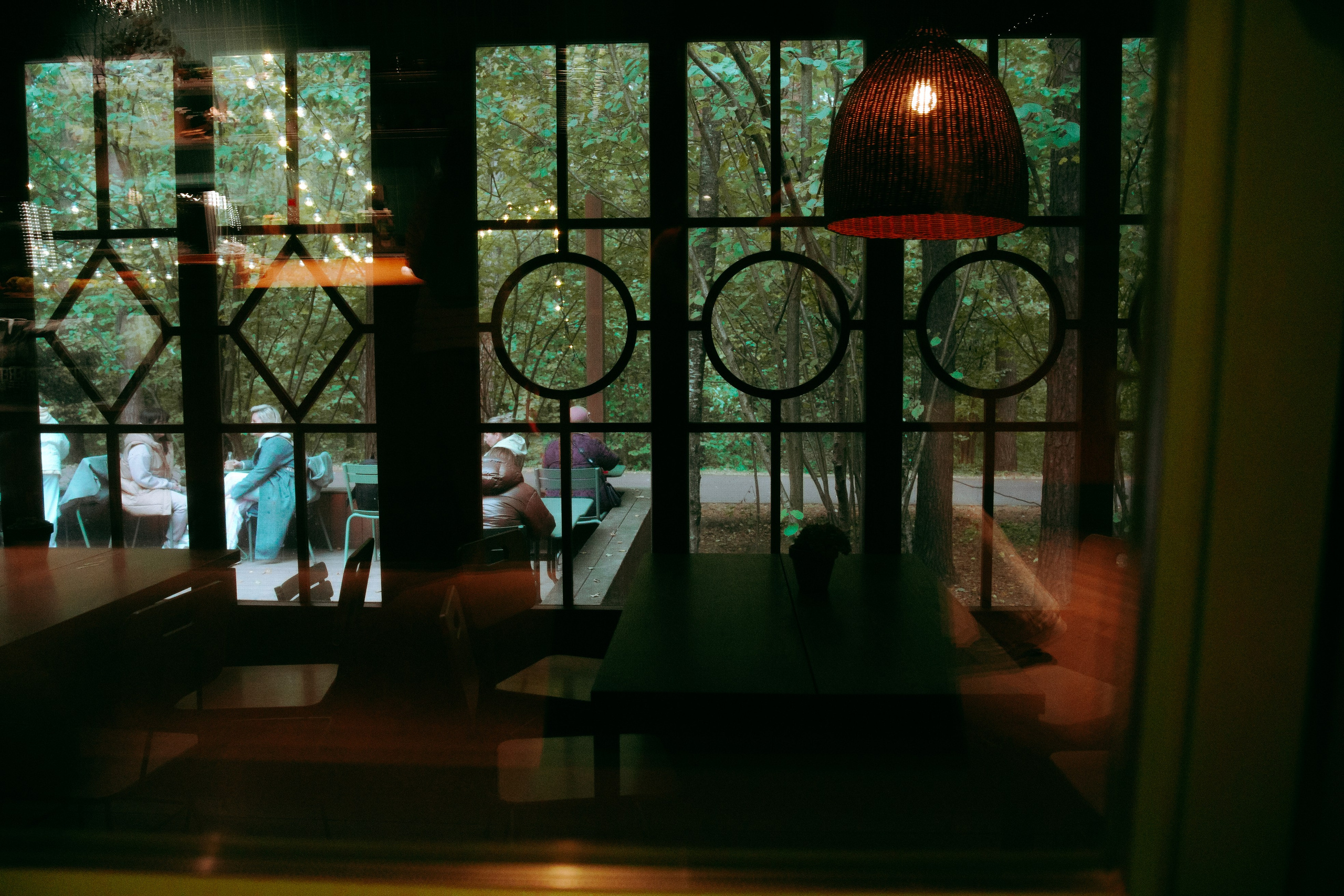 Осень 2025. Фотограф из Москвы — DASHA NOVA | Авторская фотография в разных жанрах