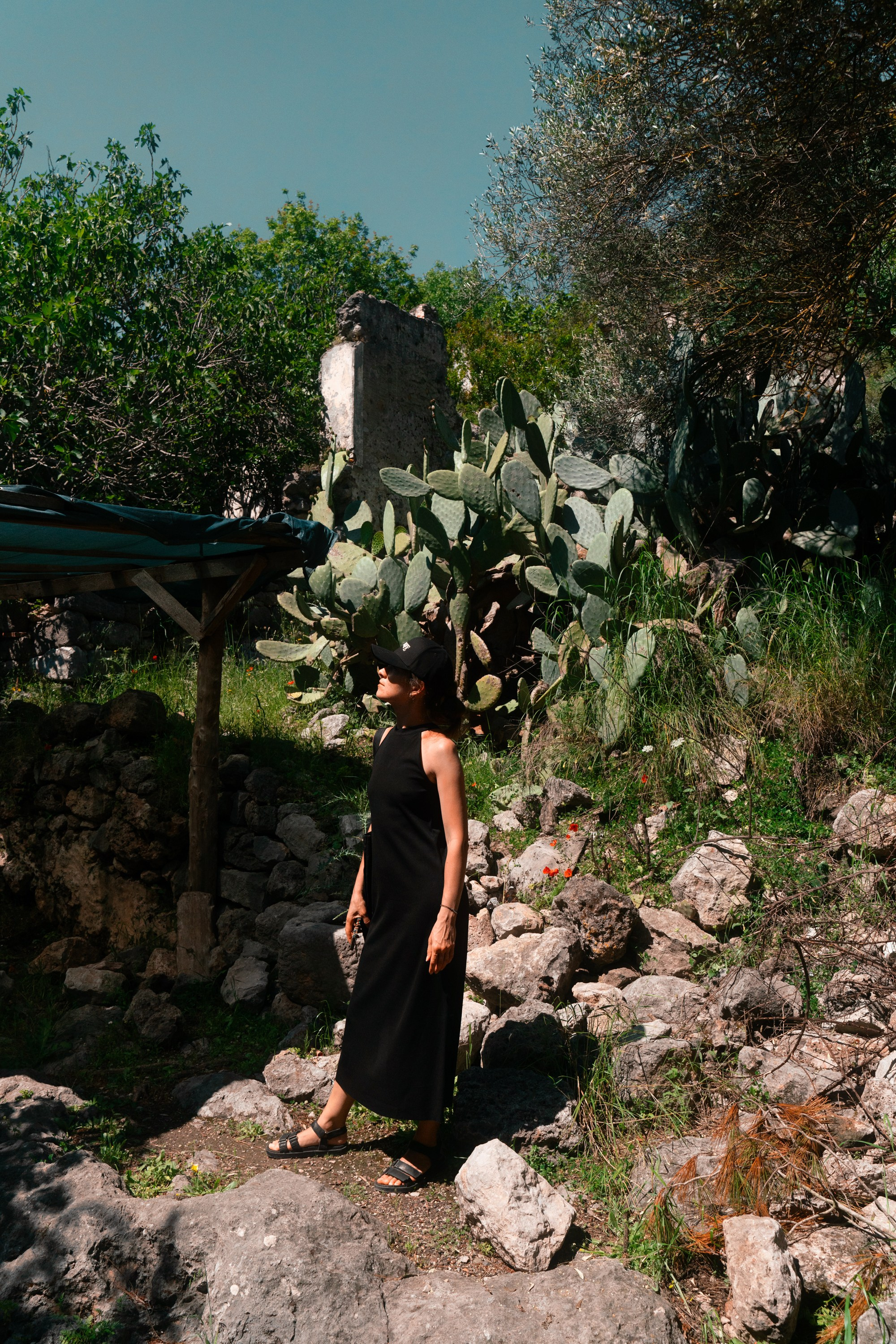 Турция, Греция, Иордания. Фотограф в Хабаровске. Фотография за 24 часа