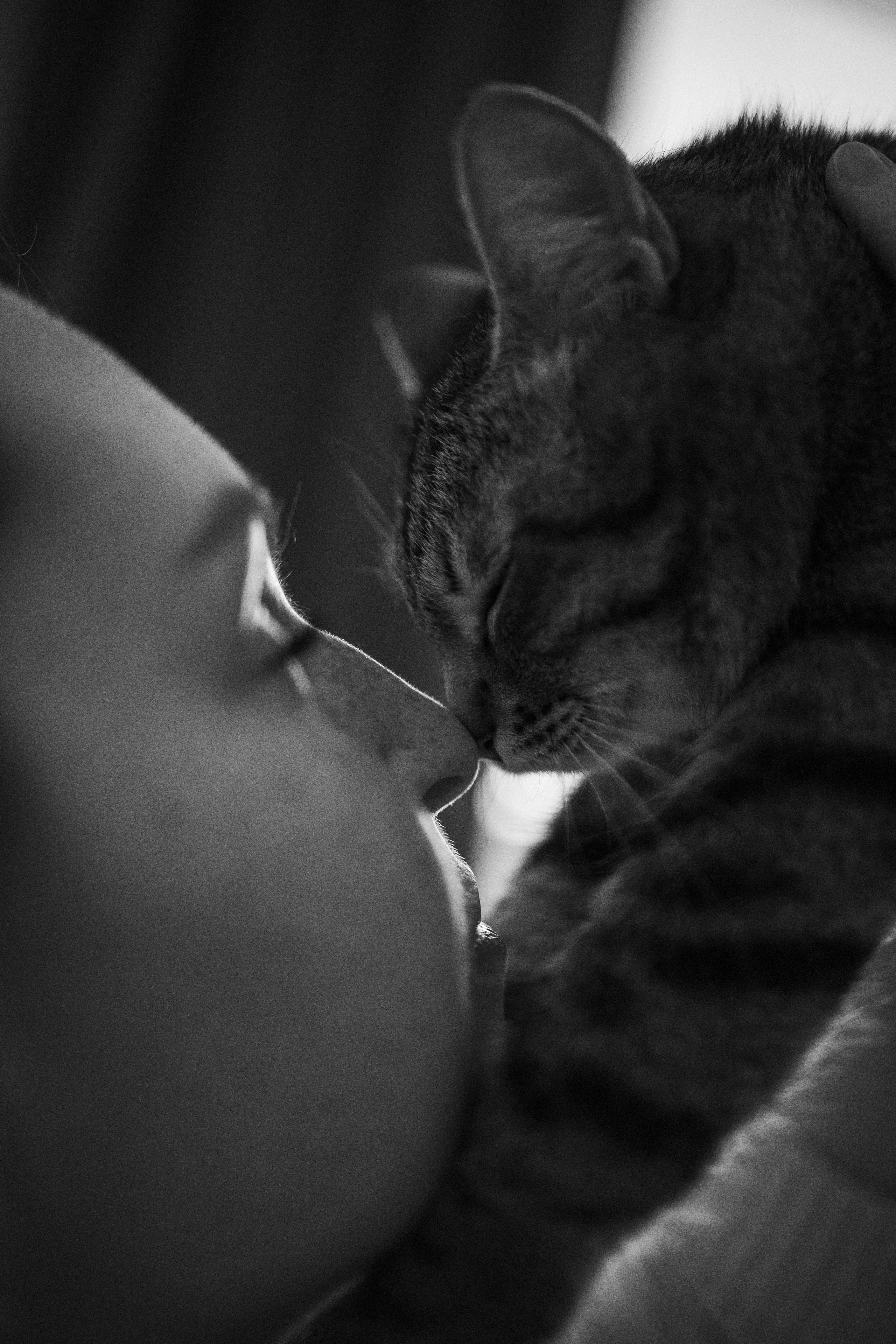 Мася и ее семья. Фотограф — Анималист | Санкт-Петербург