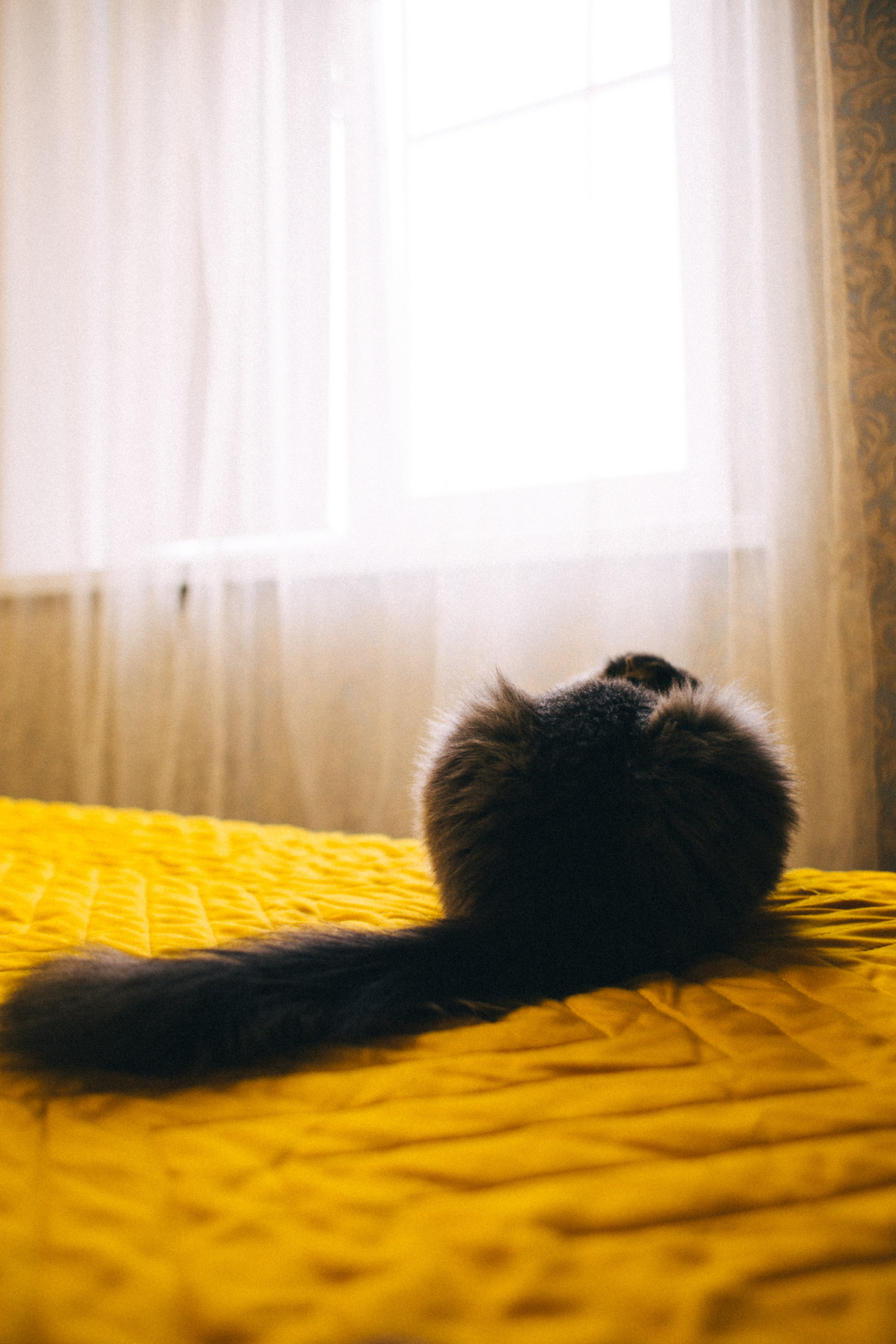 Москва- Рязань 2021. Фотограф в Нижнем Новгороде