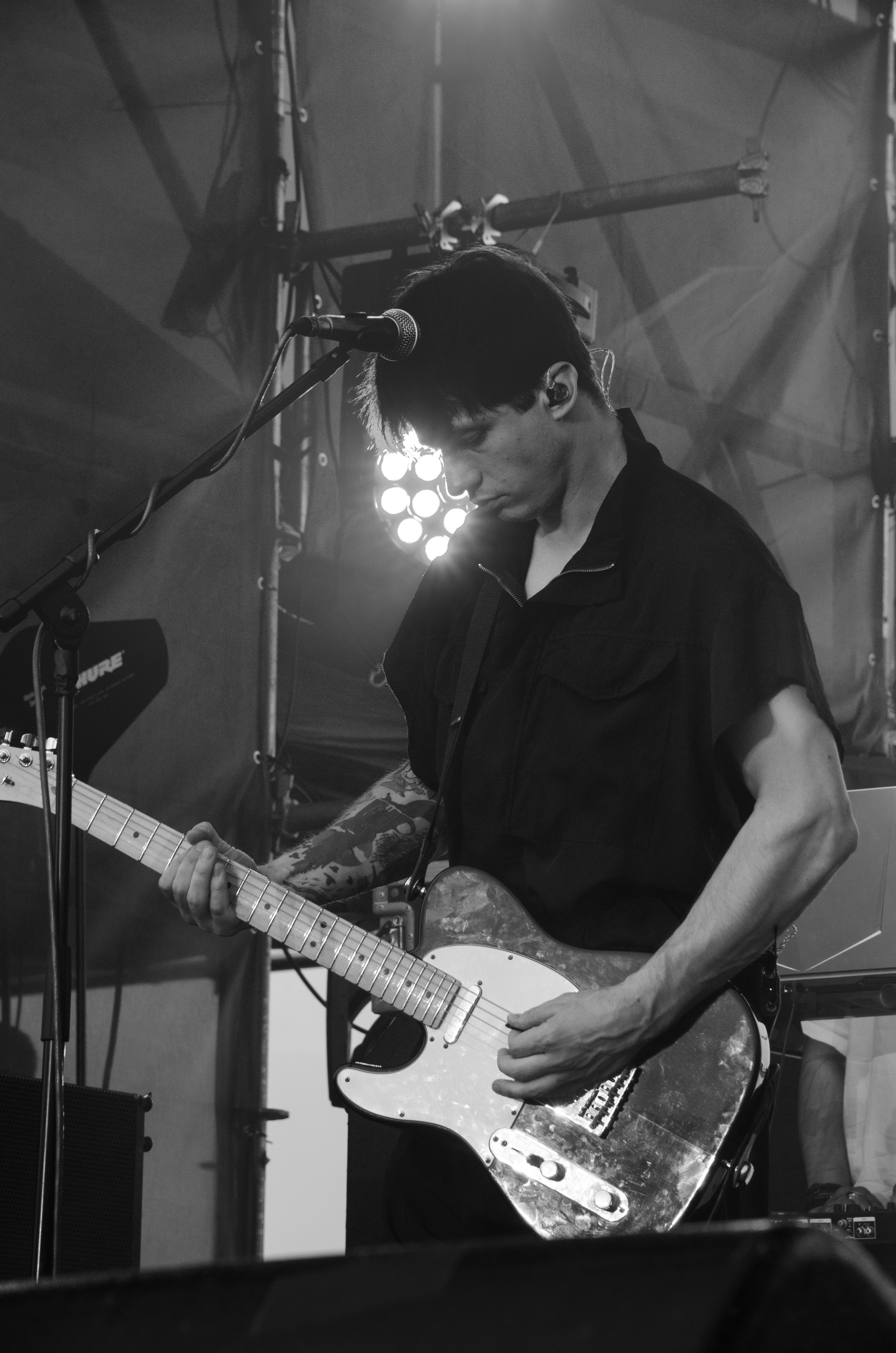 Черника Фест Ramil'. Фотограф Универсал в Новосибирске