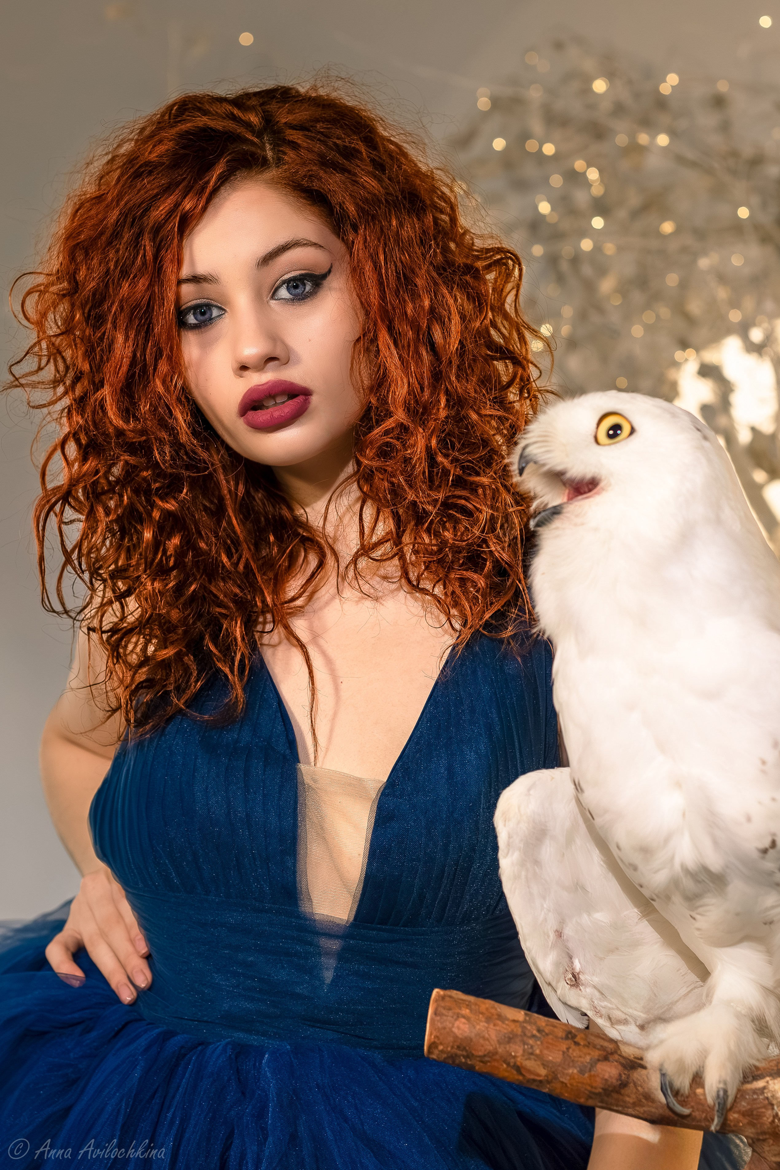 Альбомы стилизованных фотосессий и съёмки с животными. Семейный и свадебный фотограф в Москве и Домодедово Анна Авилочкина