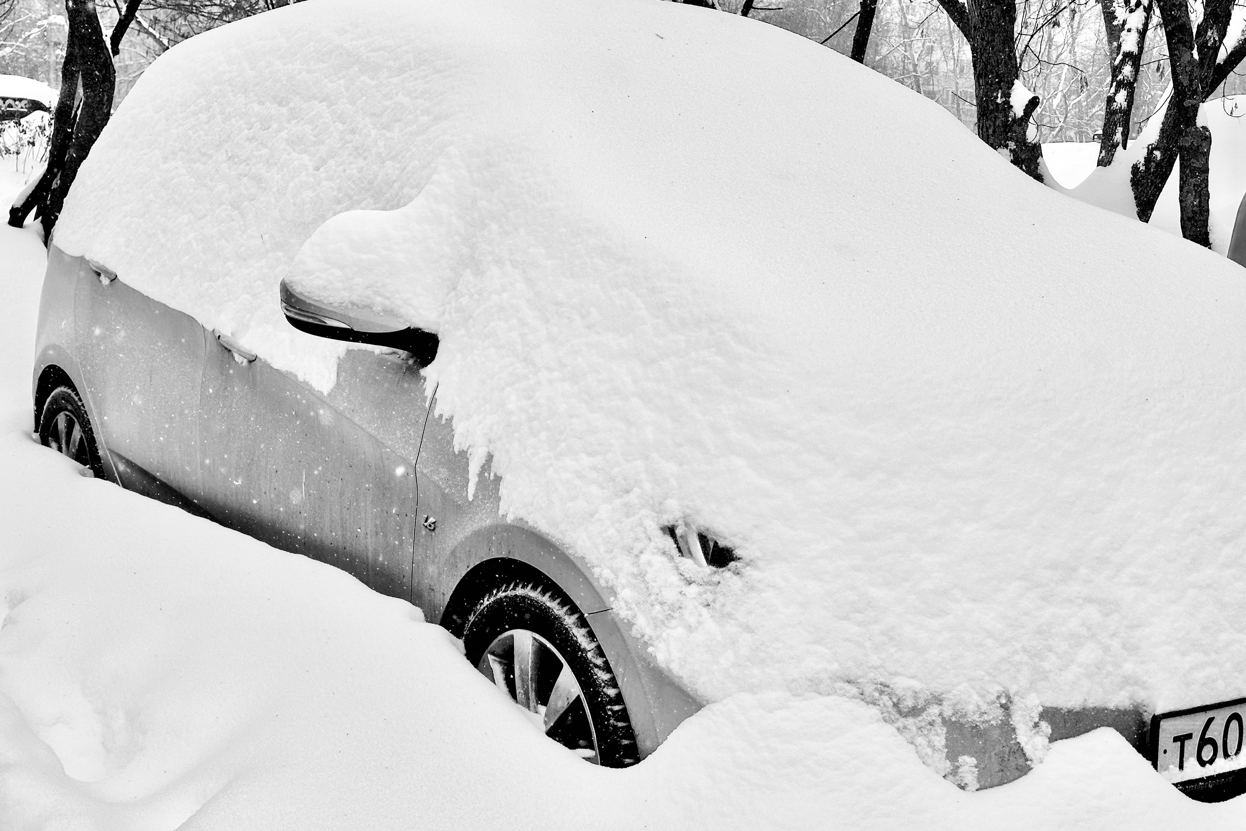 Чёрно-белая зима 25-26. Фотосессии и репортаж — Фотограф в Москве — Рина Серёгина