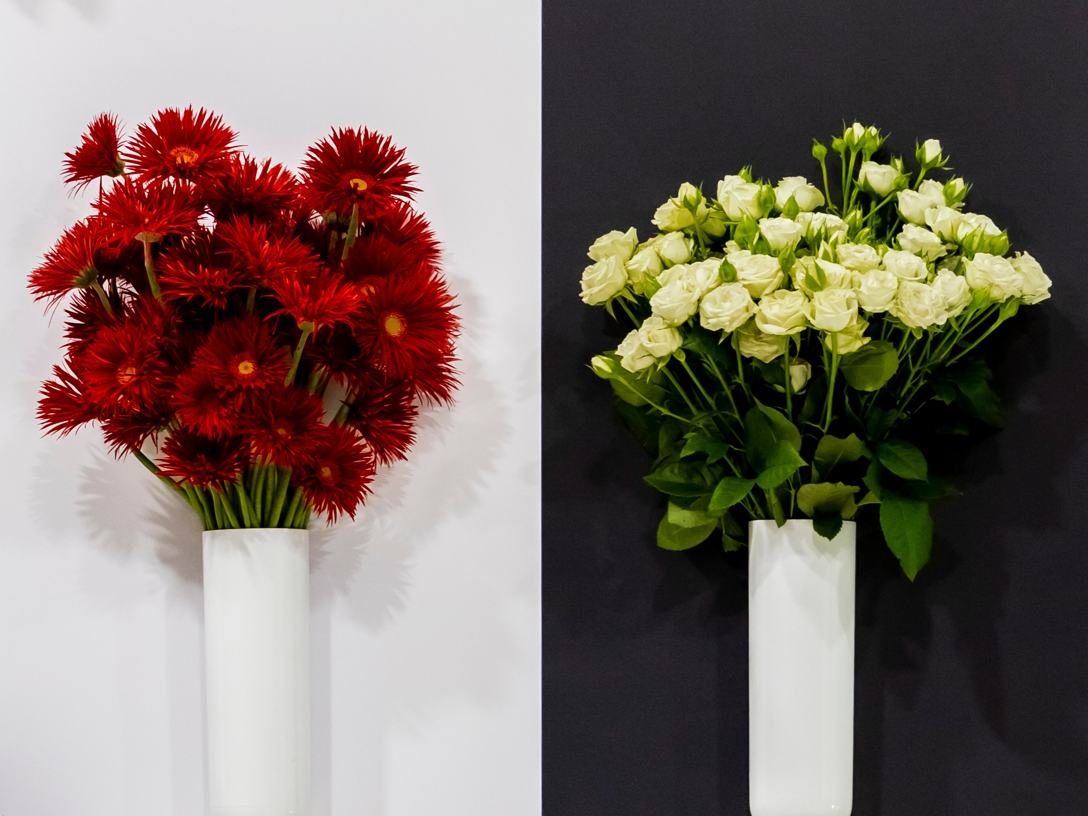 Цветы-Экспо 2023. Фотосессии и репортаж — Фотограф в Москве — Рина Серёгина