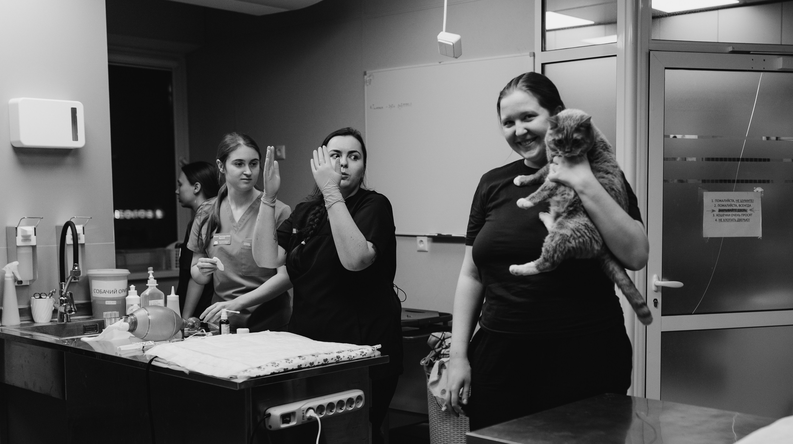 VetLife. Татьяна Афонина | Фотограф