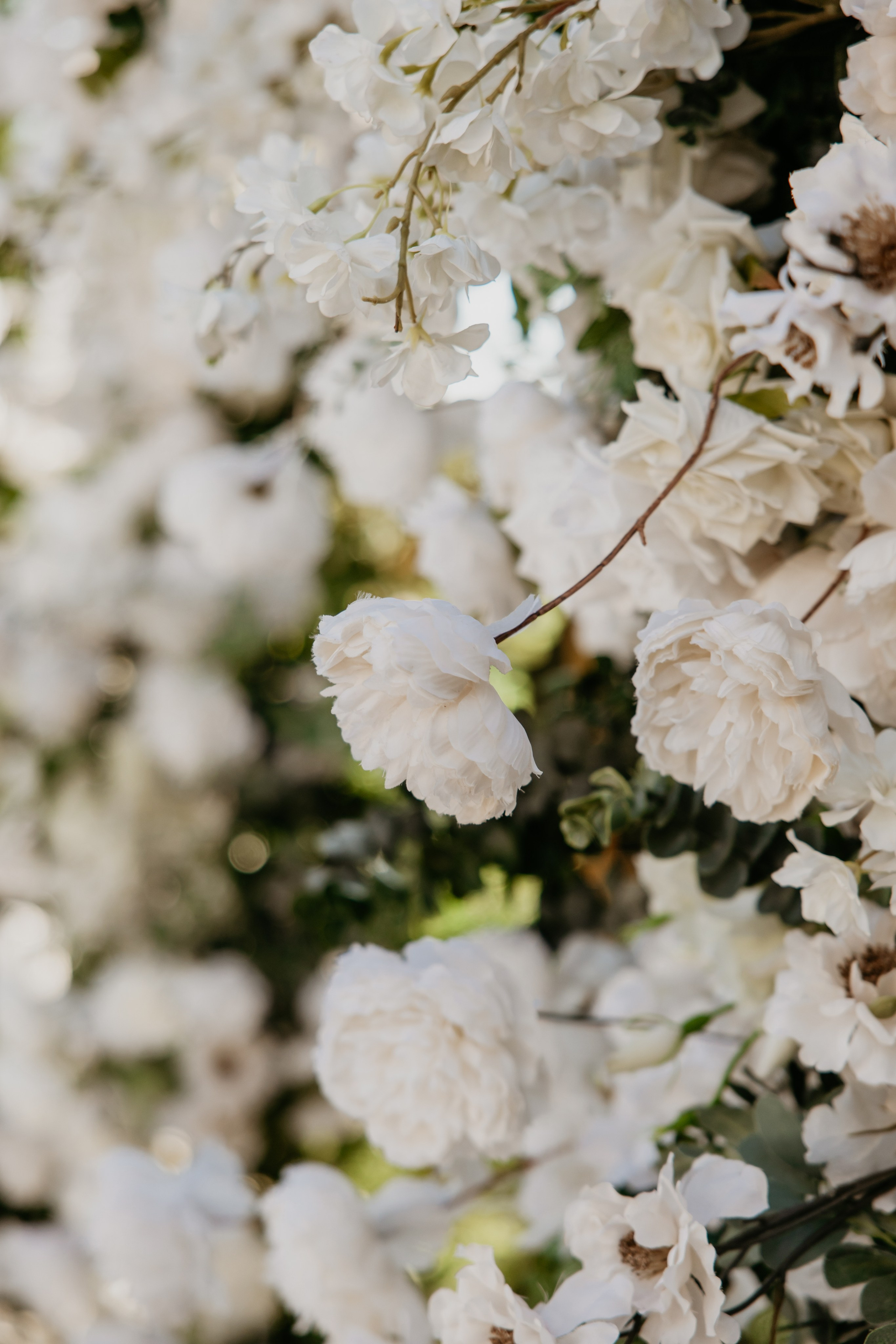 Илья и Алёна. Свадебный и портретный фотограф Минск Евсович Инна