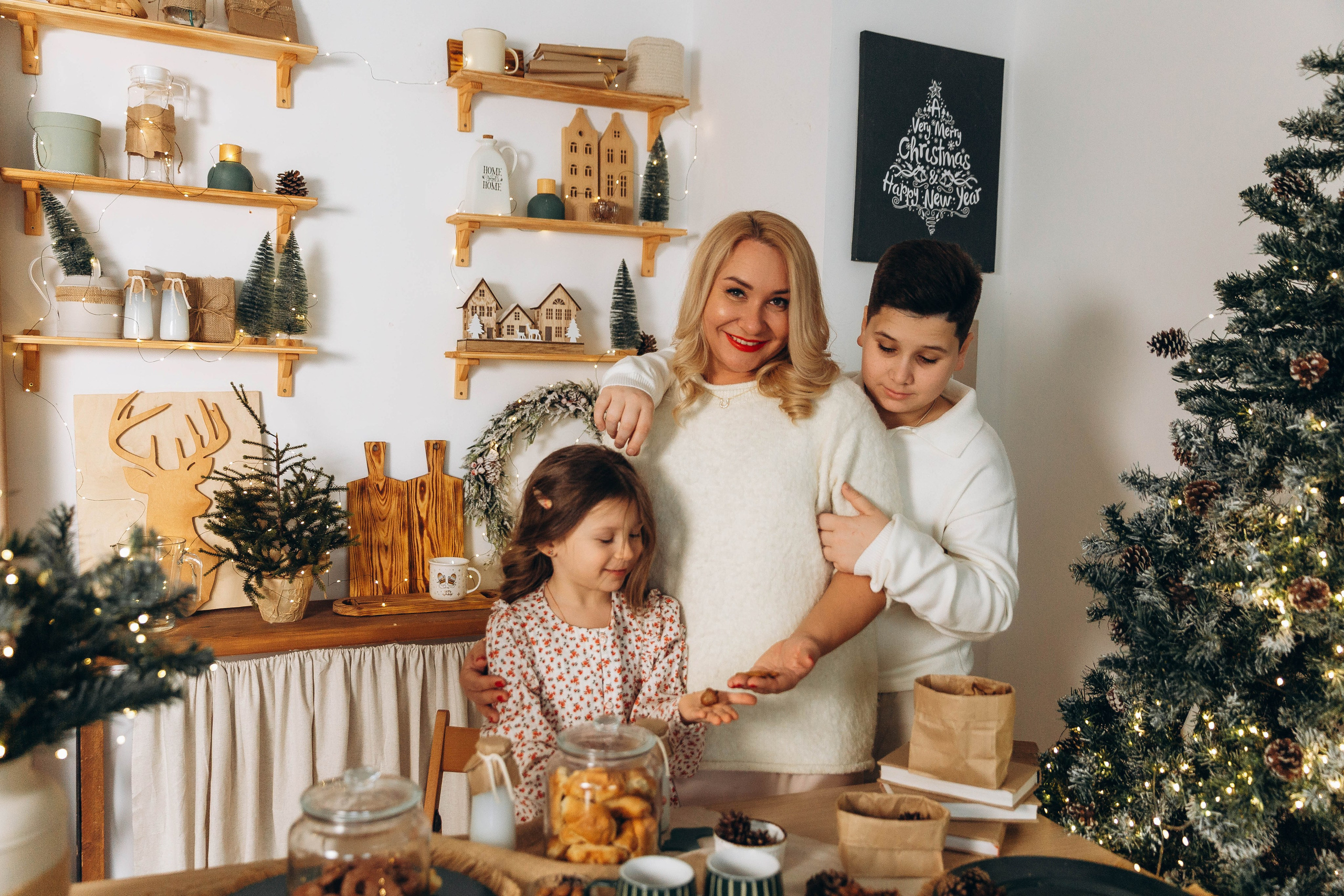 Семейная Новый год. Katerina Schastlivaya