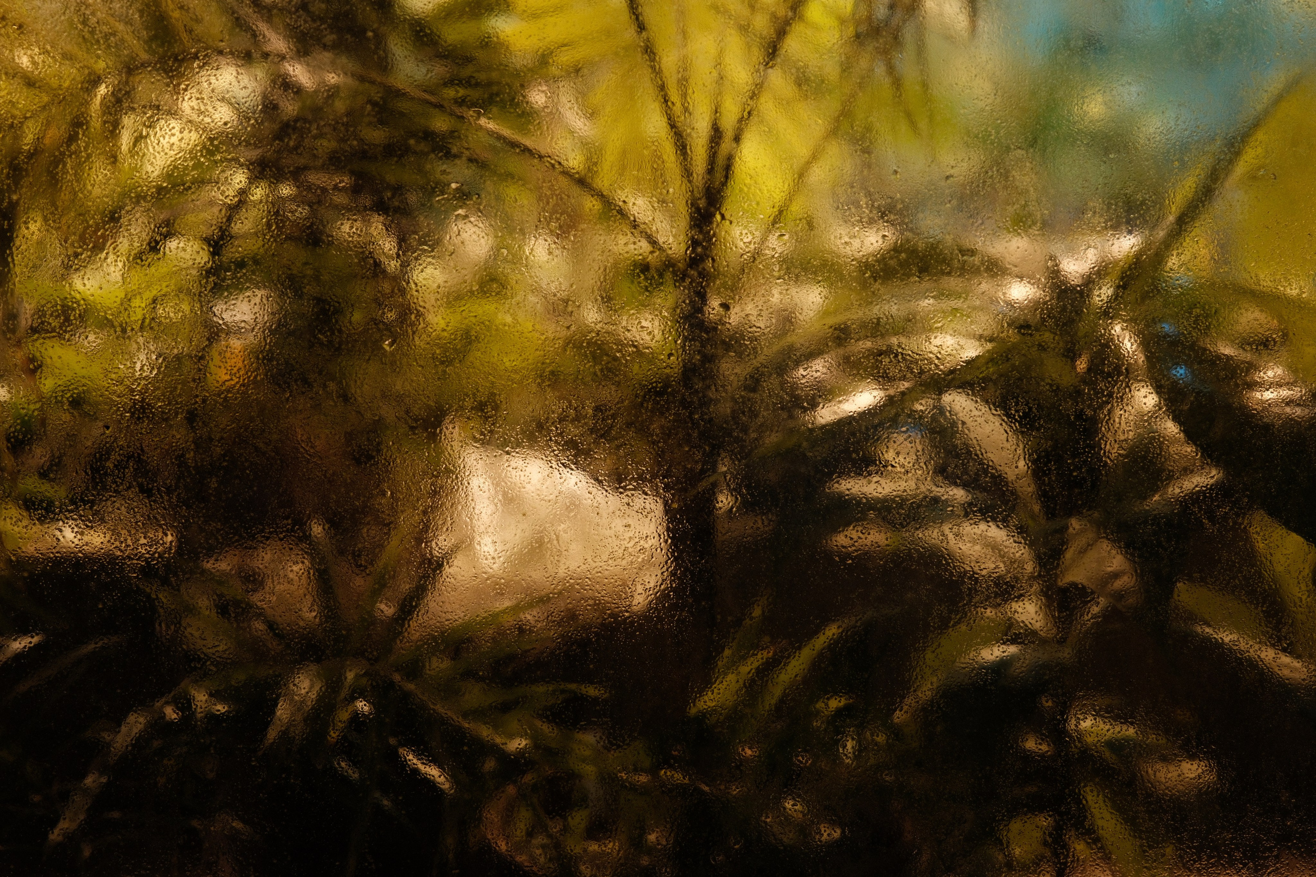 Аптекарский огород. Профессиональный фотограф в Москве Захар Ишутин