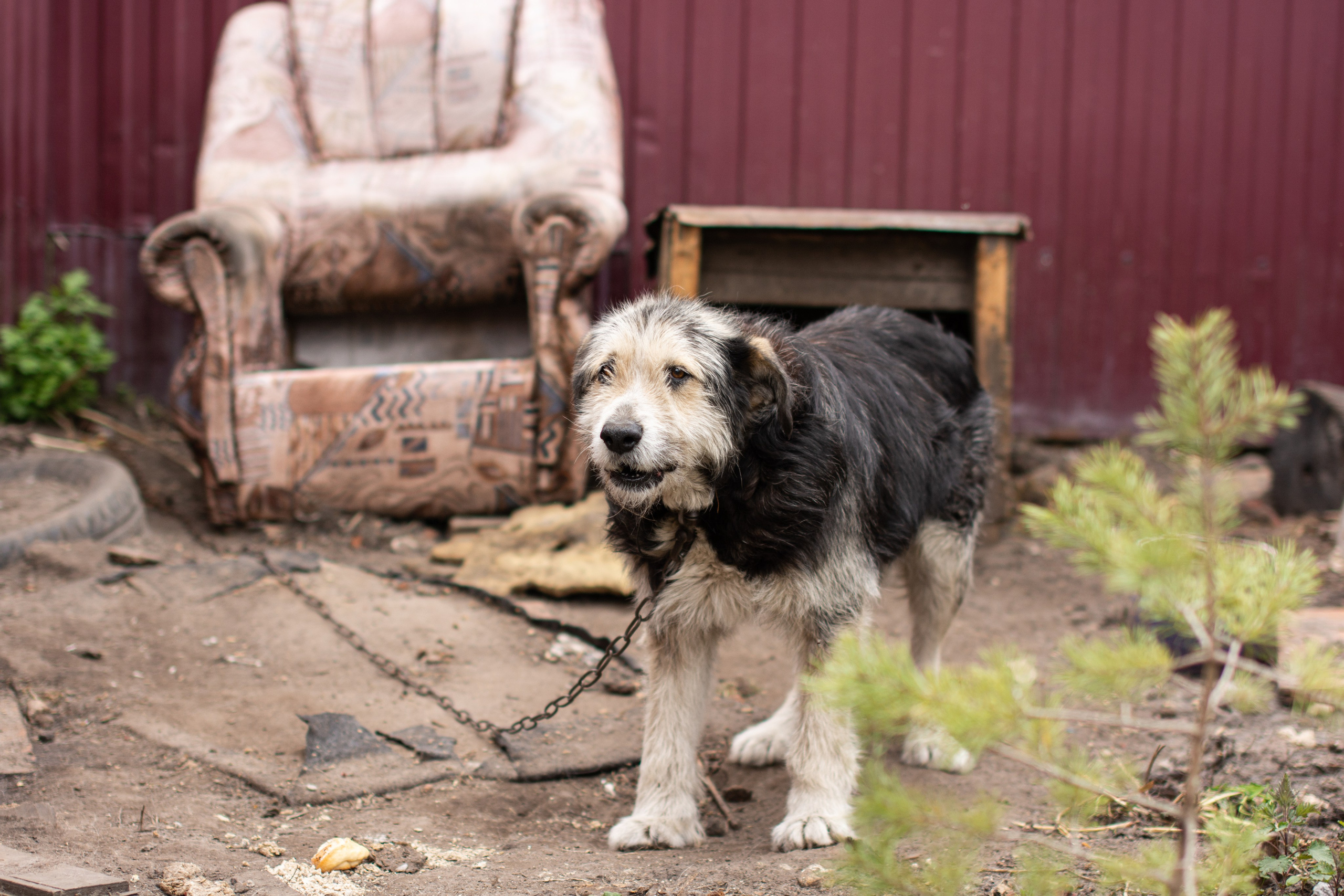 Том Сойер Фест ул. Кардовского 25 (репортаж). Портретная и репортажная съёмка