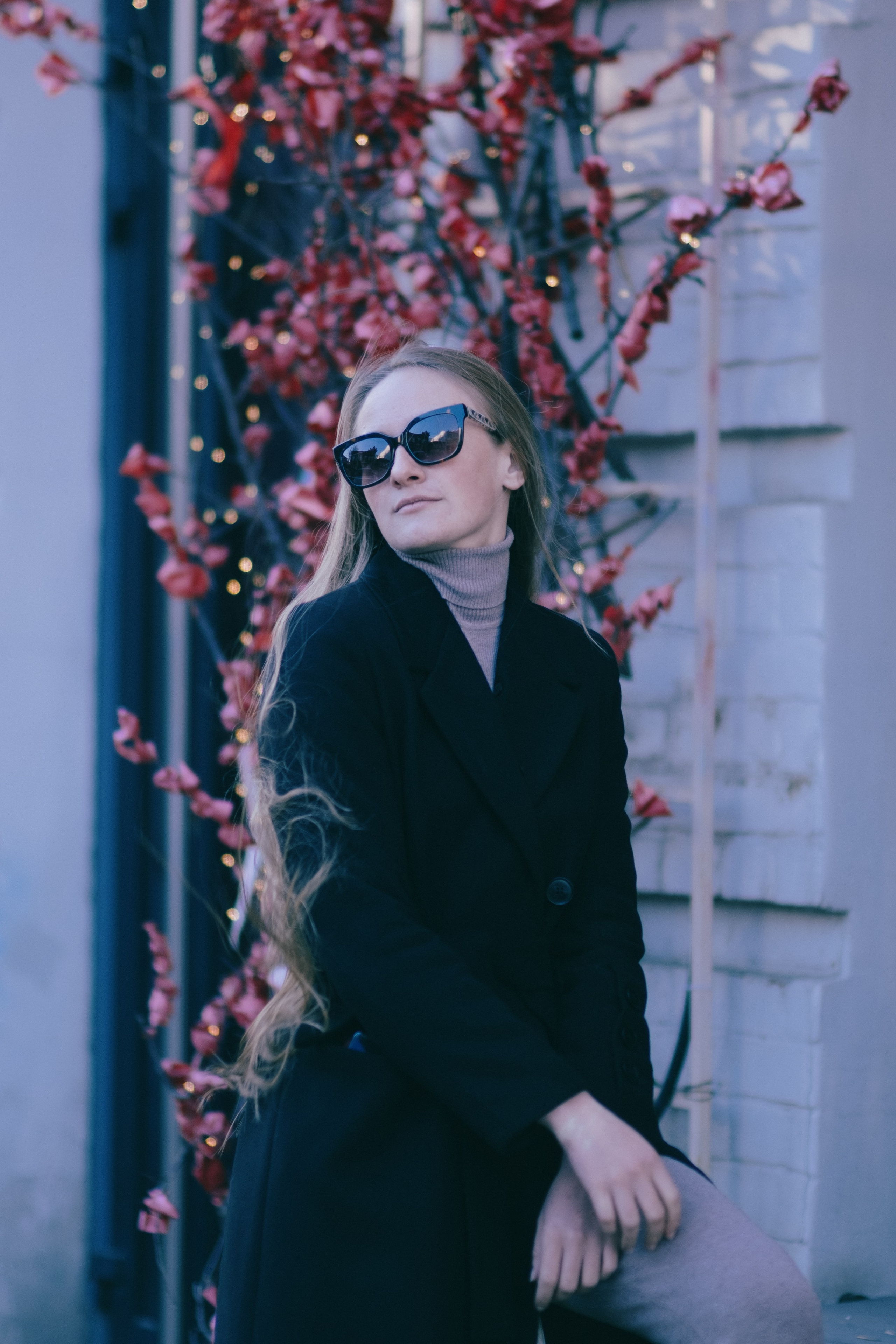 Елена. Дмитрий Пропадалин, Нейрофотография