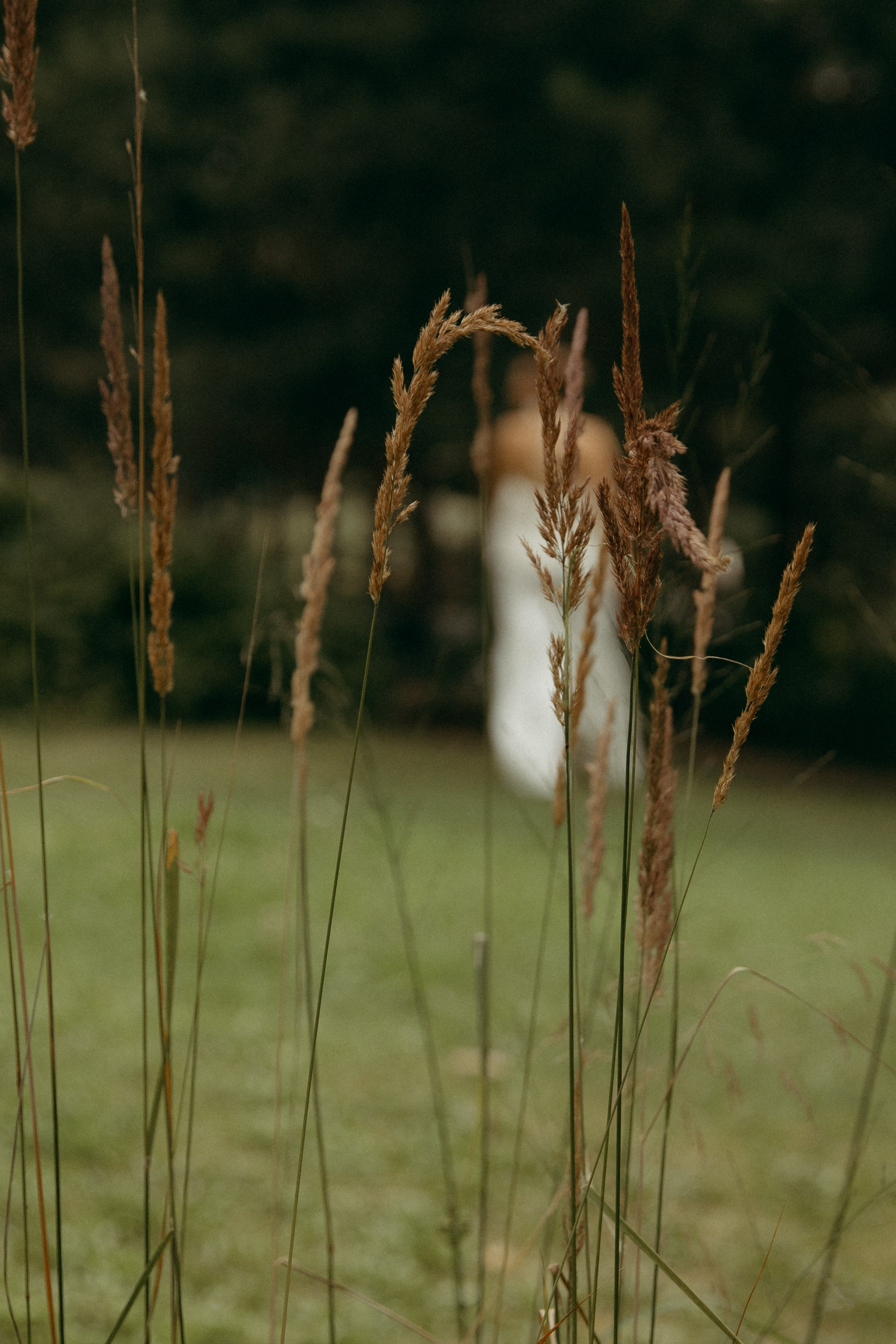 Николай и Александра. Главная