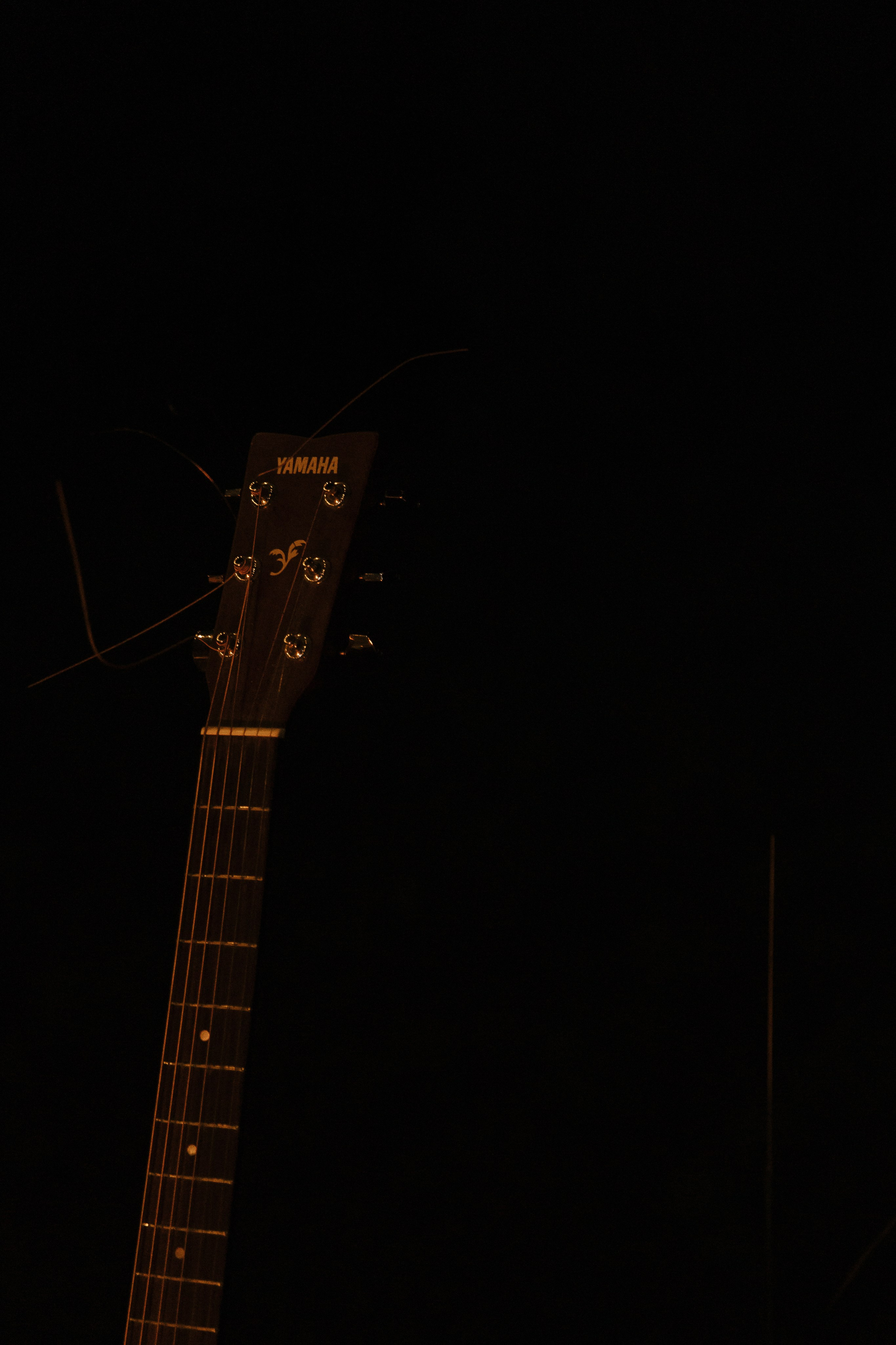 Without Pathos. Свадебный фотограф Екатеринбург Алексей Ладыгин