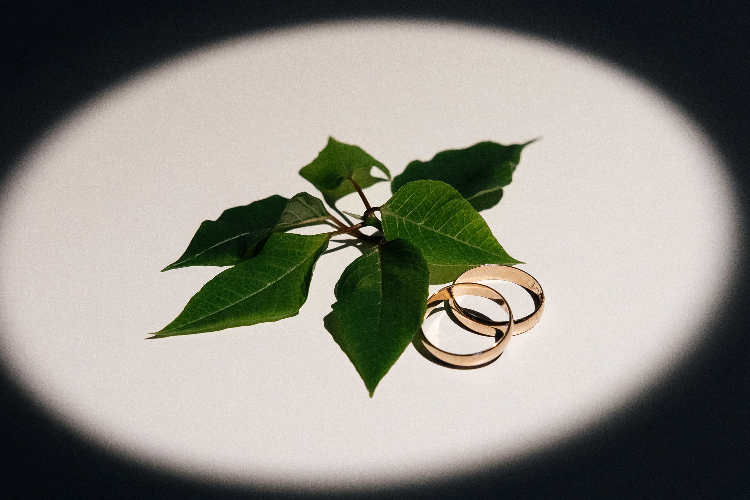 Свадебная фотосессия в Иваново и Москве. Свадебный фотограф в Иваново Гитарина Черняева