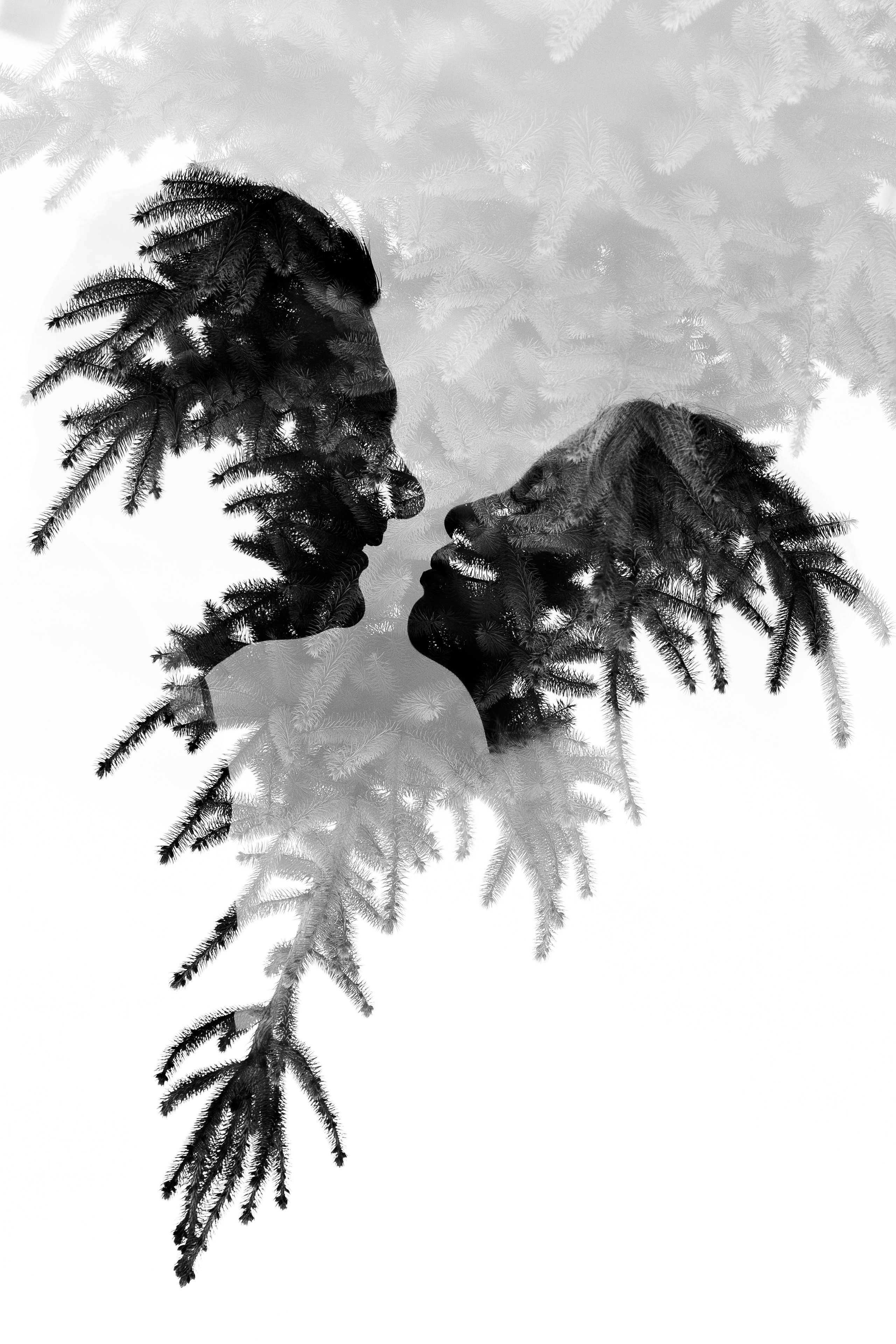 ПШЕНИЧНЫЕ. Свадебный и семейный фотограф Динар Гильмутдинов