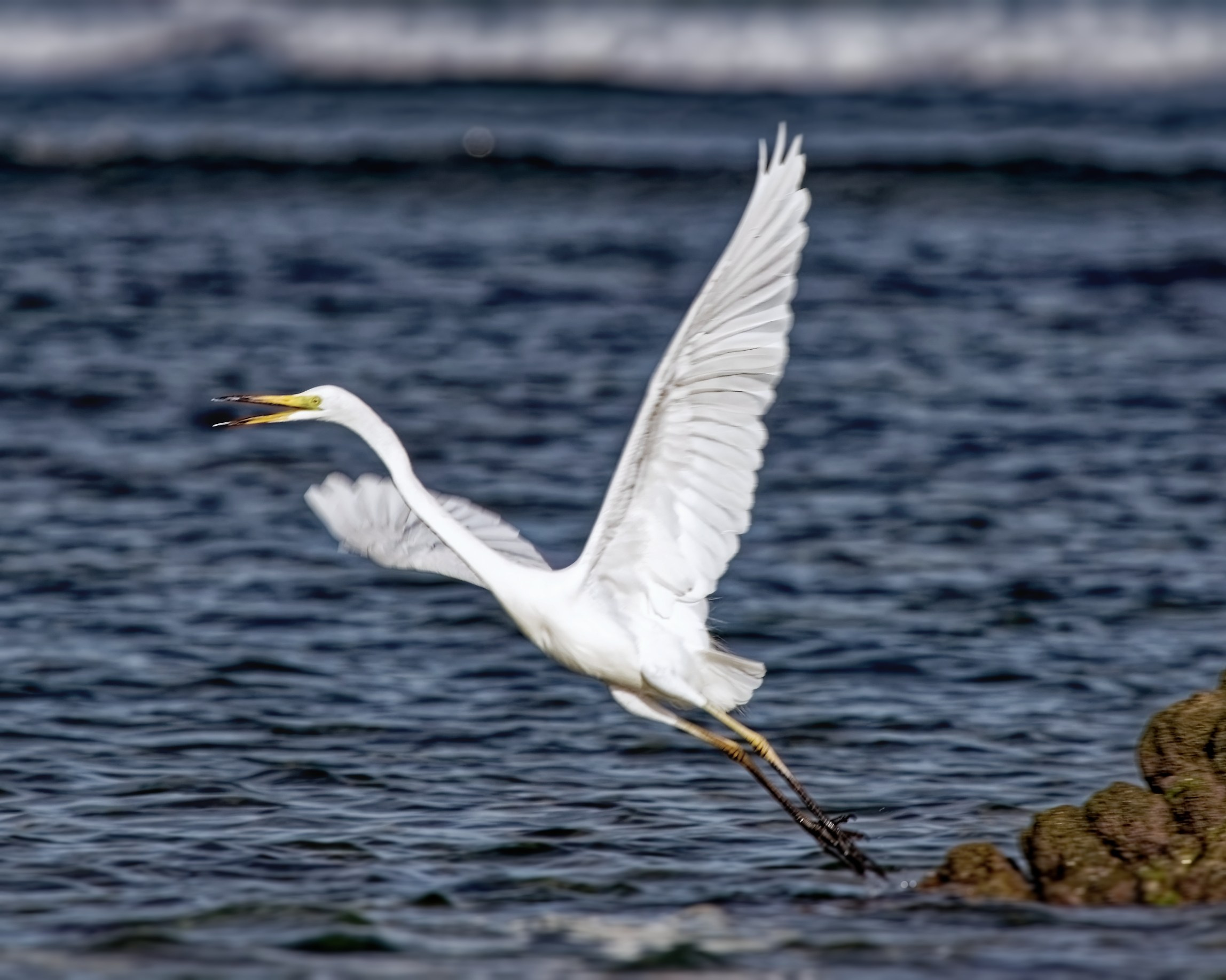 ПРИРОДА. Слепки времени. Фотографии природы и событий. Москва. Сергей Аллагулов