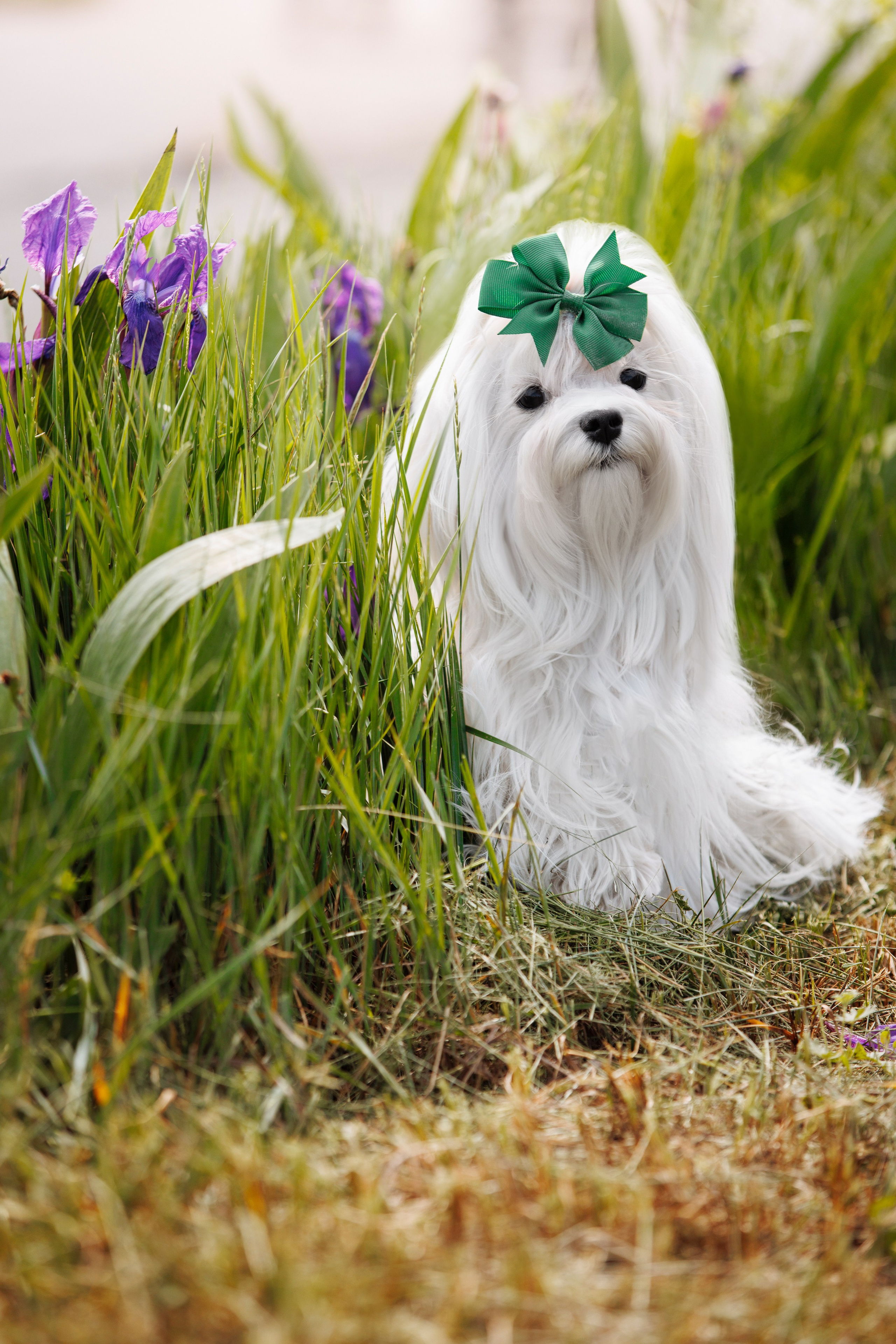 Такой разношерстный Орск 25. О нас