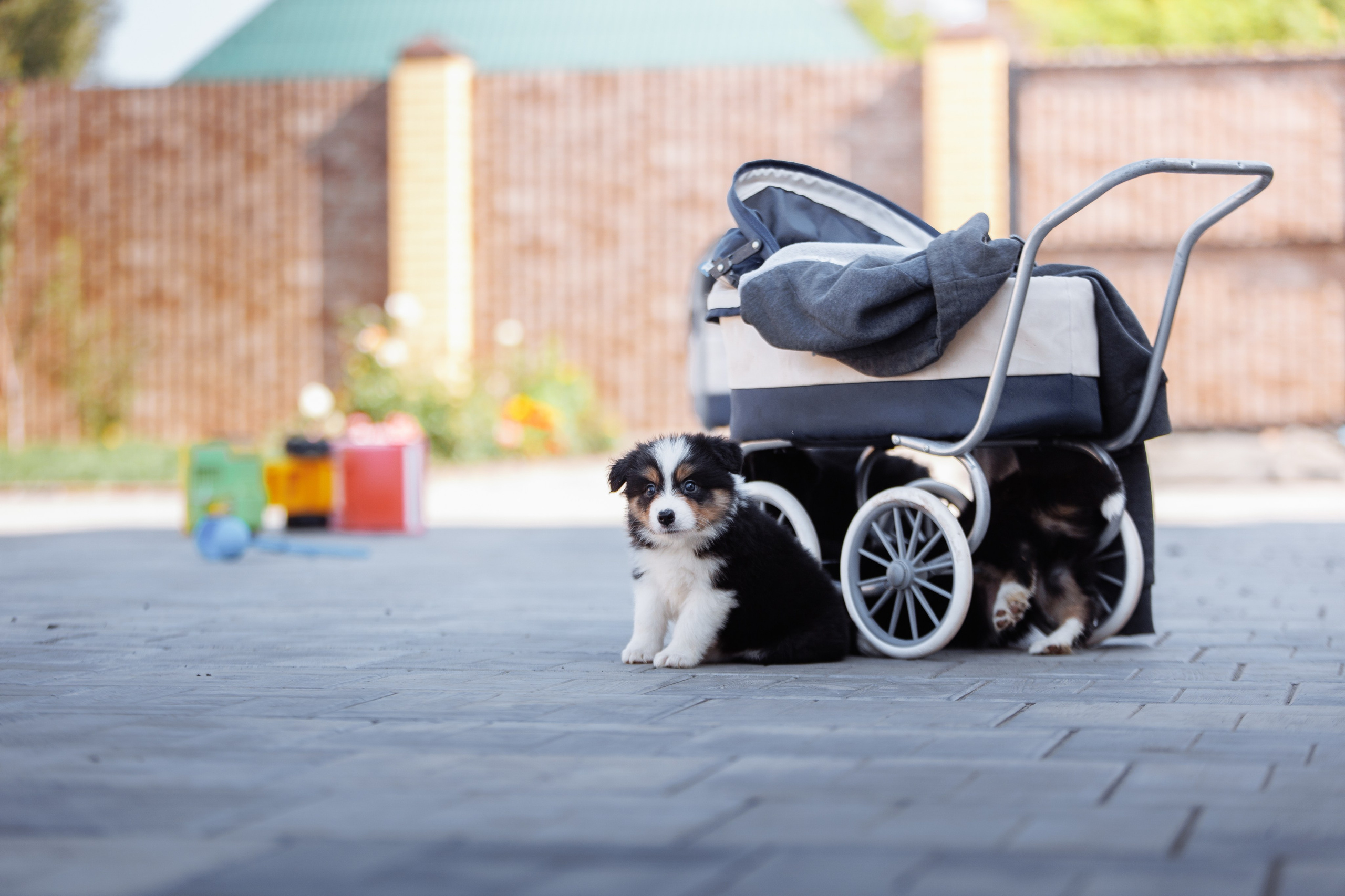 МММ — маленькое мягкое милое. О нас