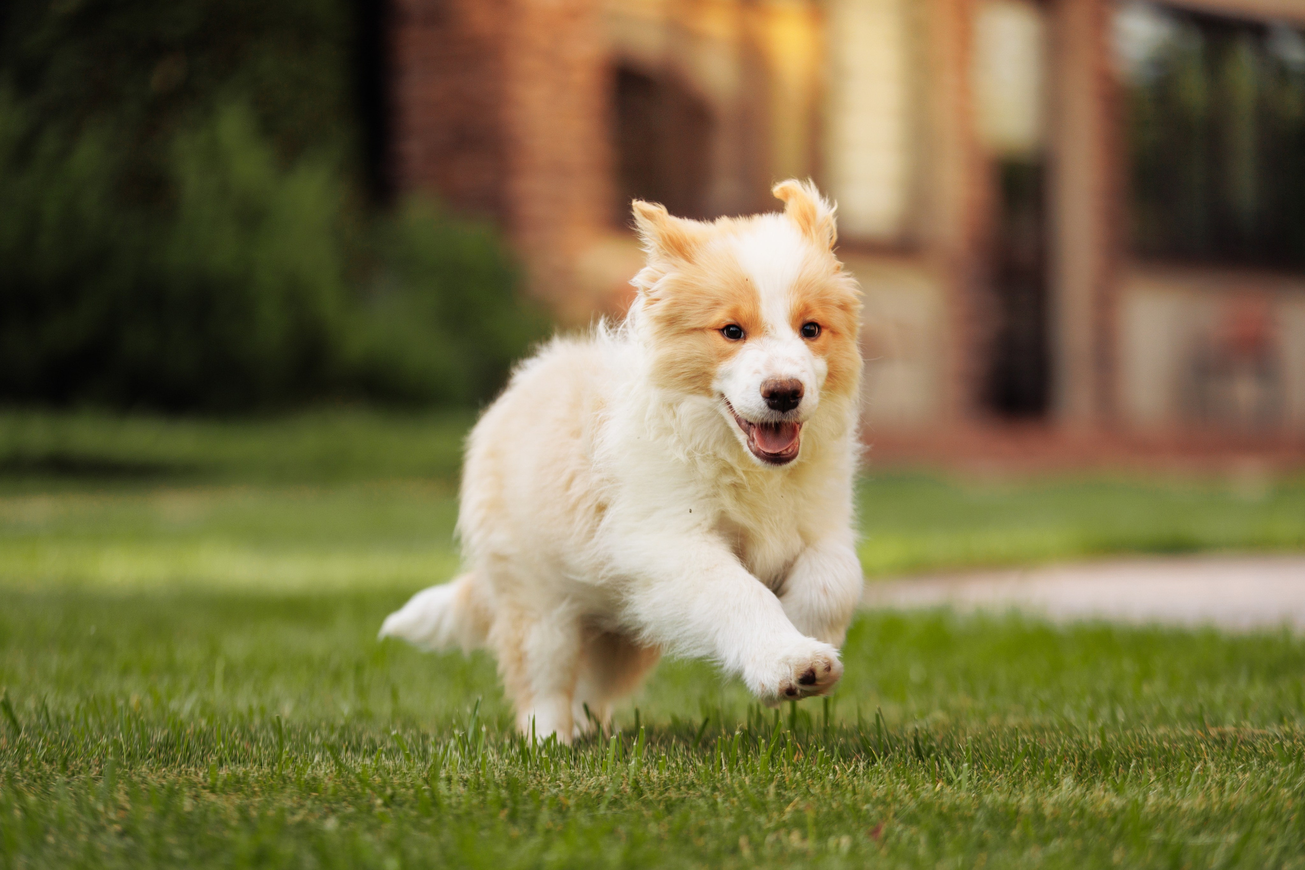 СОлнечные. О нас