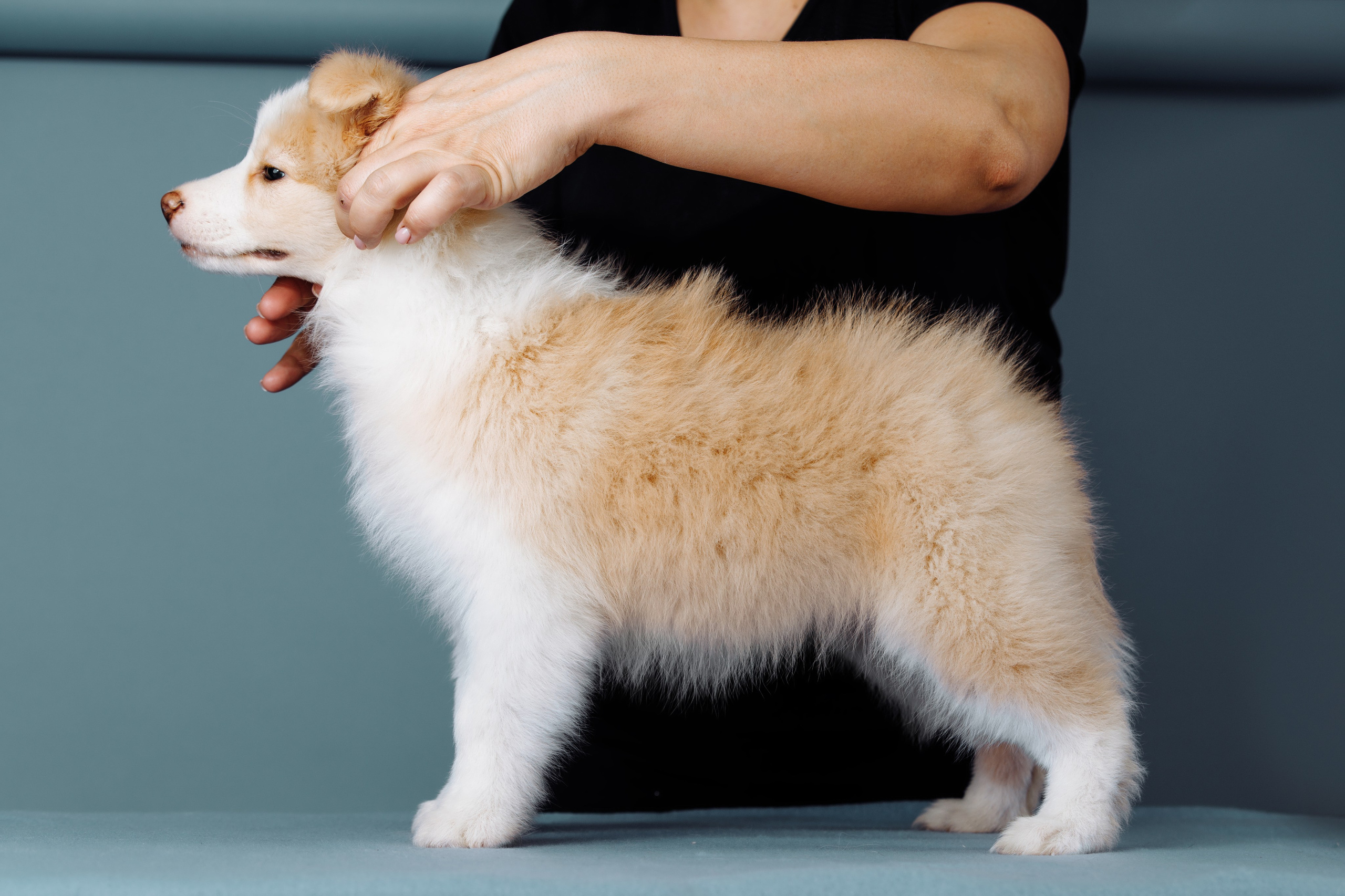 Март. Весна. 22. О нас