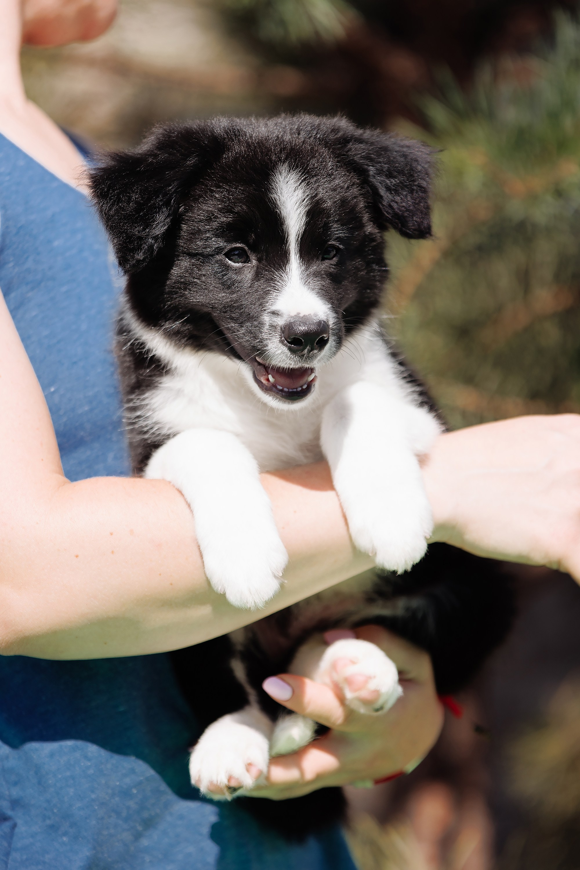 Трава у дома. О нас