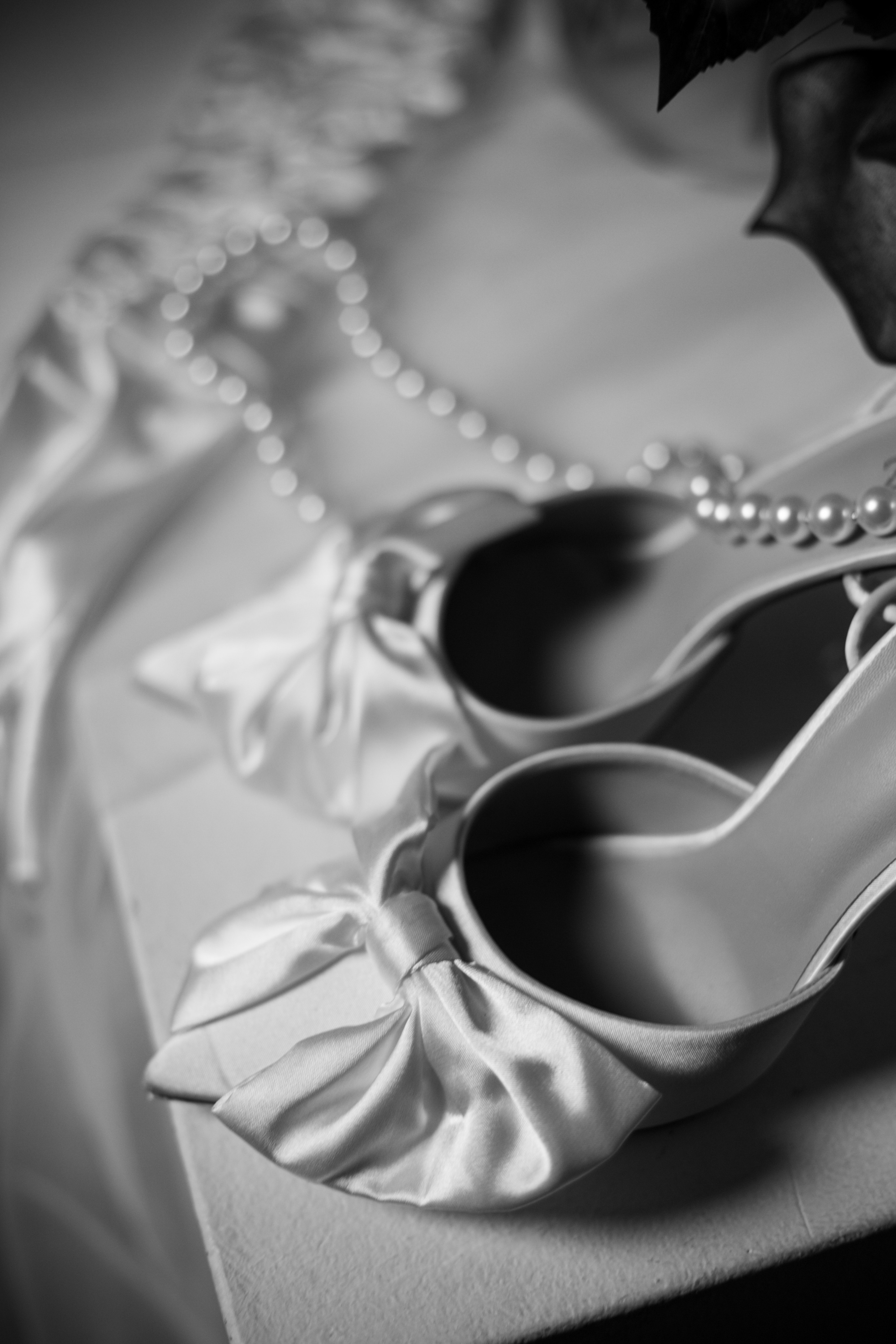 Станислав и София. Свадебный фотограф в Москве Озерова Анастасия