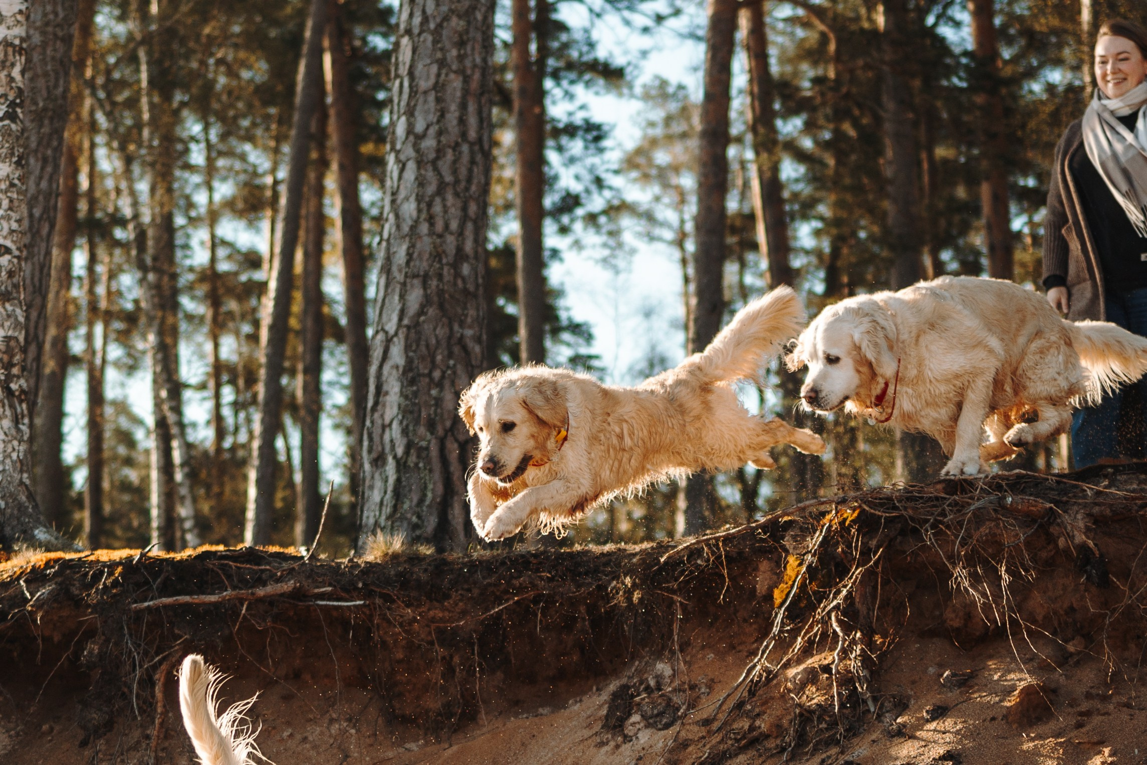 Катя и ее девочки. Фотограф — Анималист | Санкт-Петербург