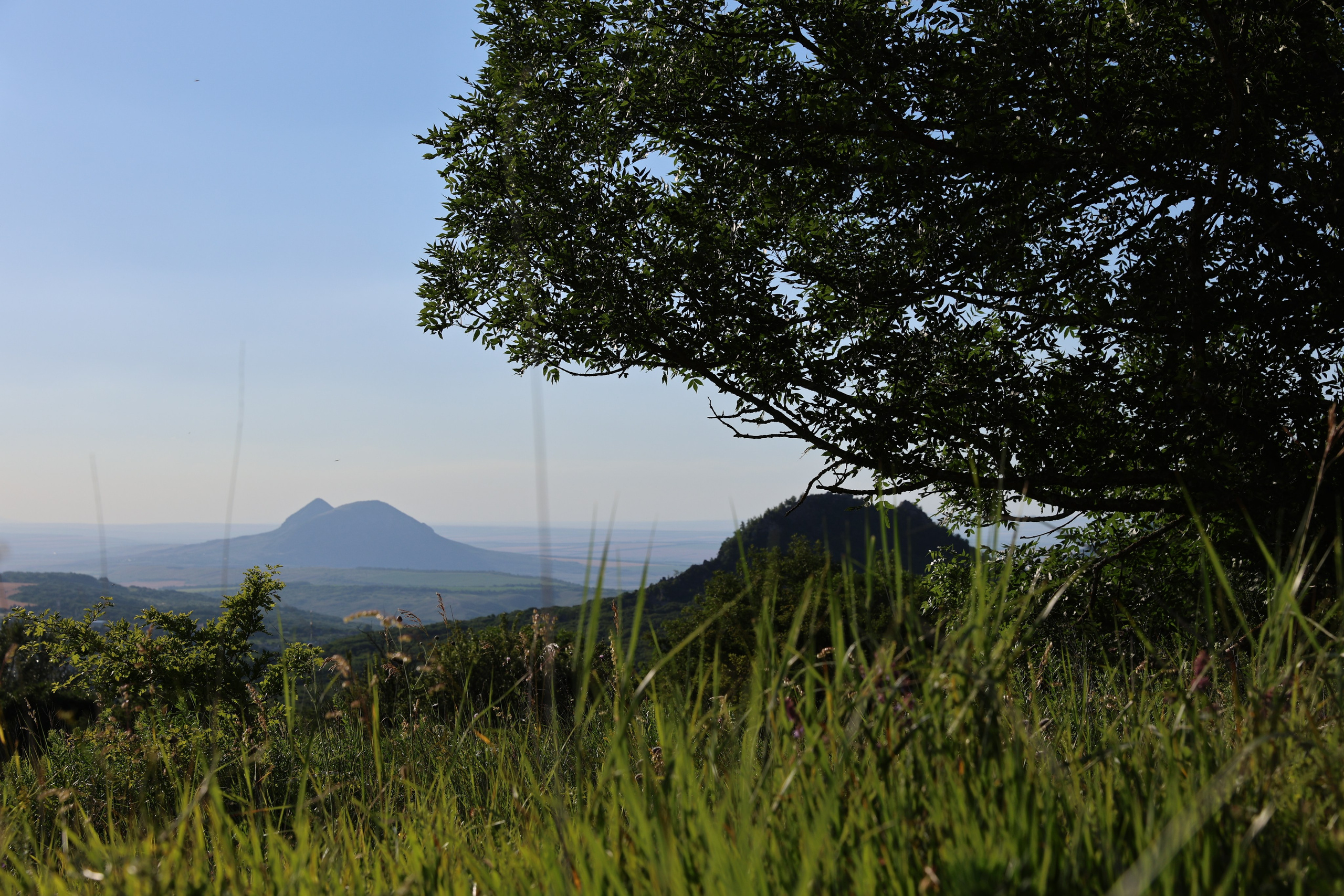 Фотограф Мария Алексеева. Мария Алексеева. Фотограф в Москве