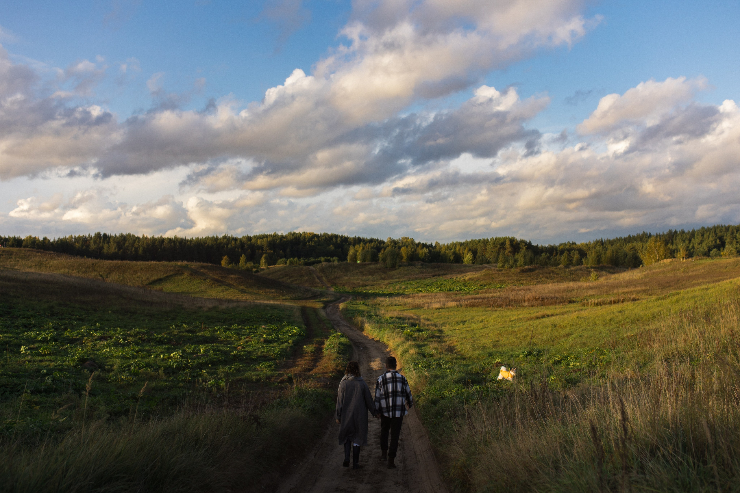 Трое, считая собаку. Wed Photographers 📷 Saint Petersburg