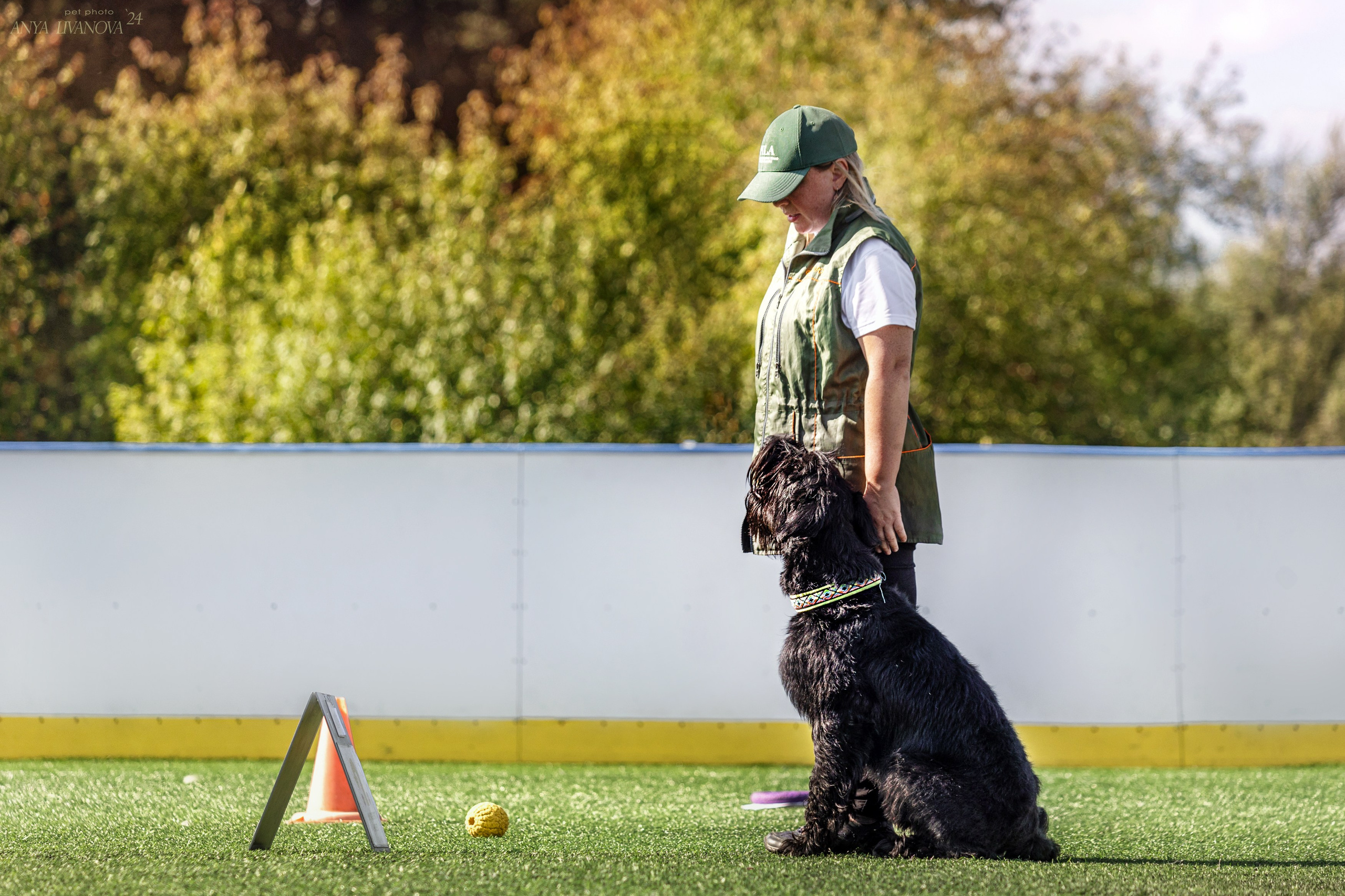 Ралли обидиенс. Фотограф анималист Аня Ливанова | Рыбинск
