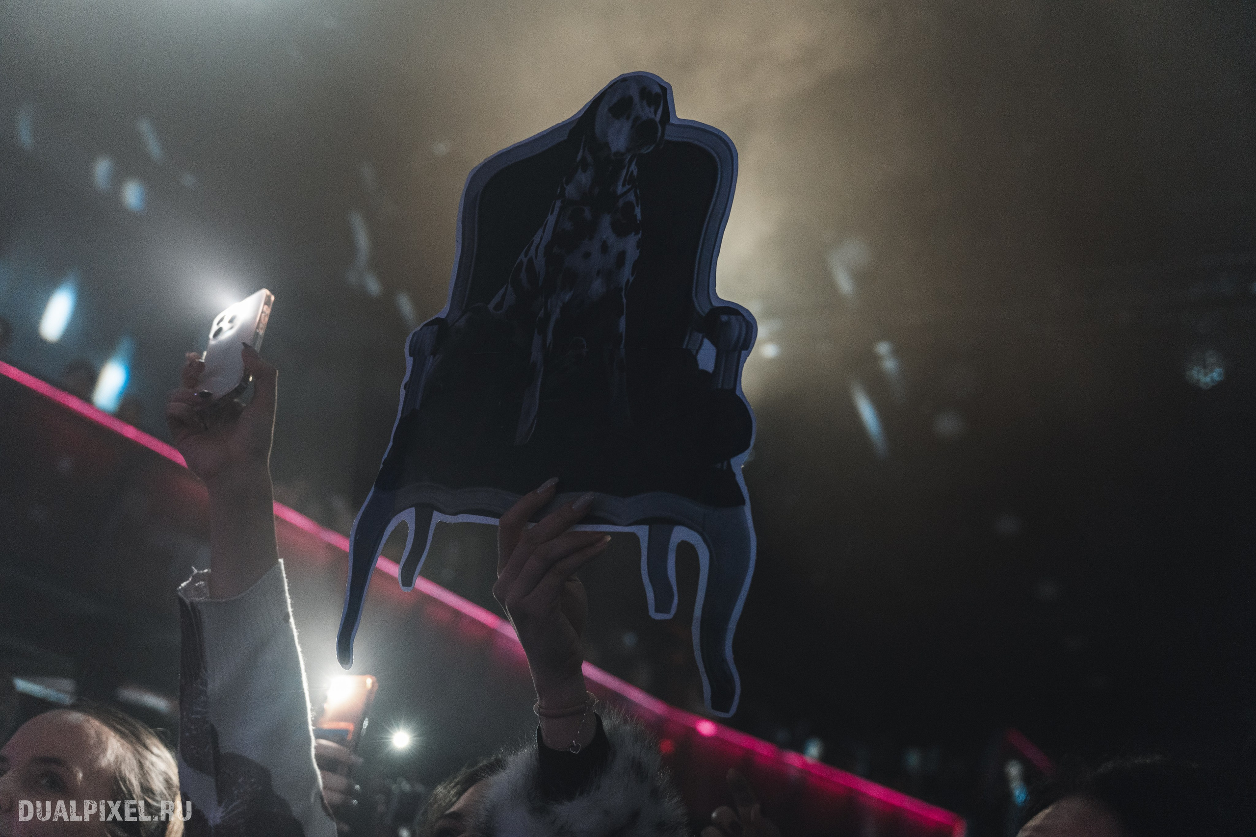 Stervell. Магия музыки в кадре: Концертная Фотография