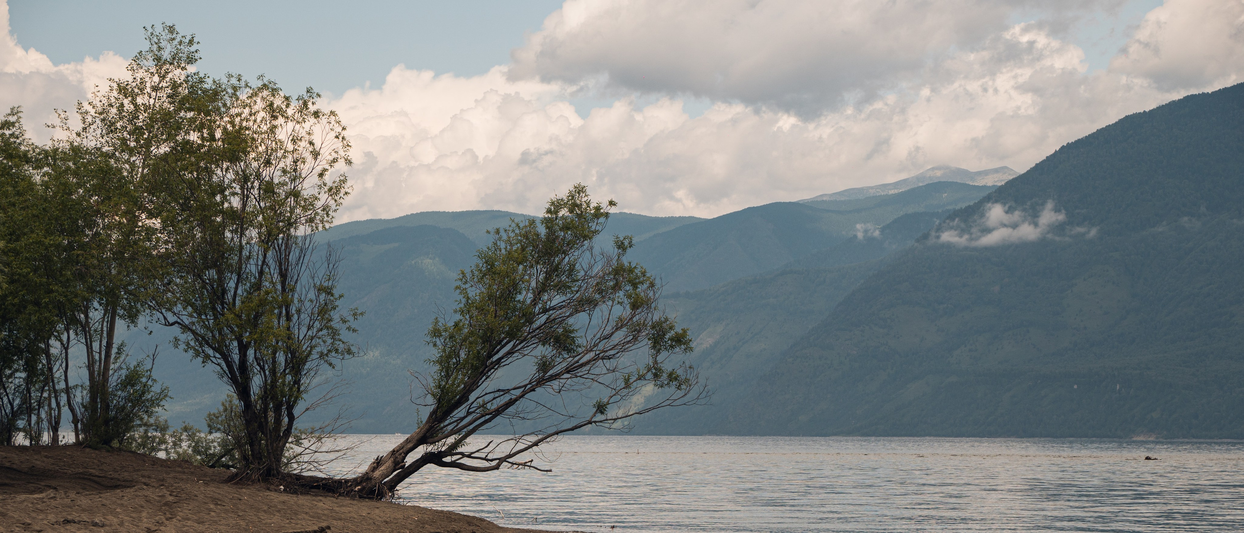 Алтай. Gusarov Travel Photography