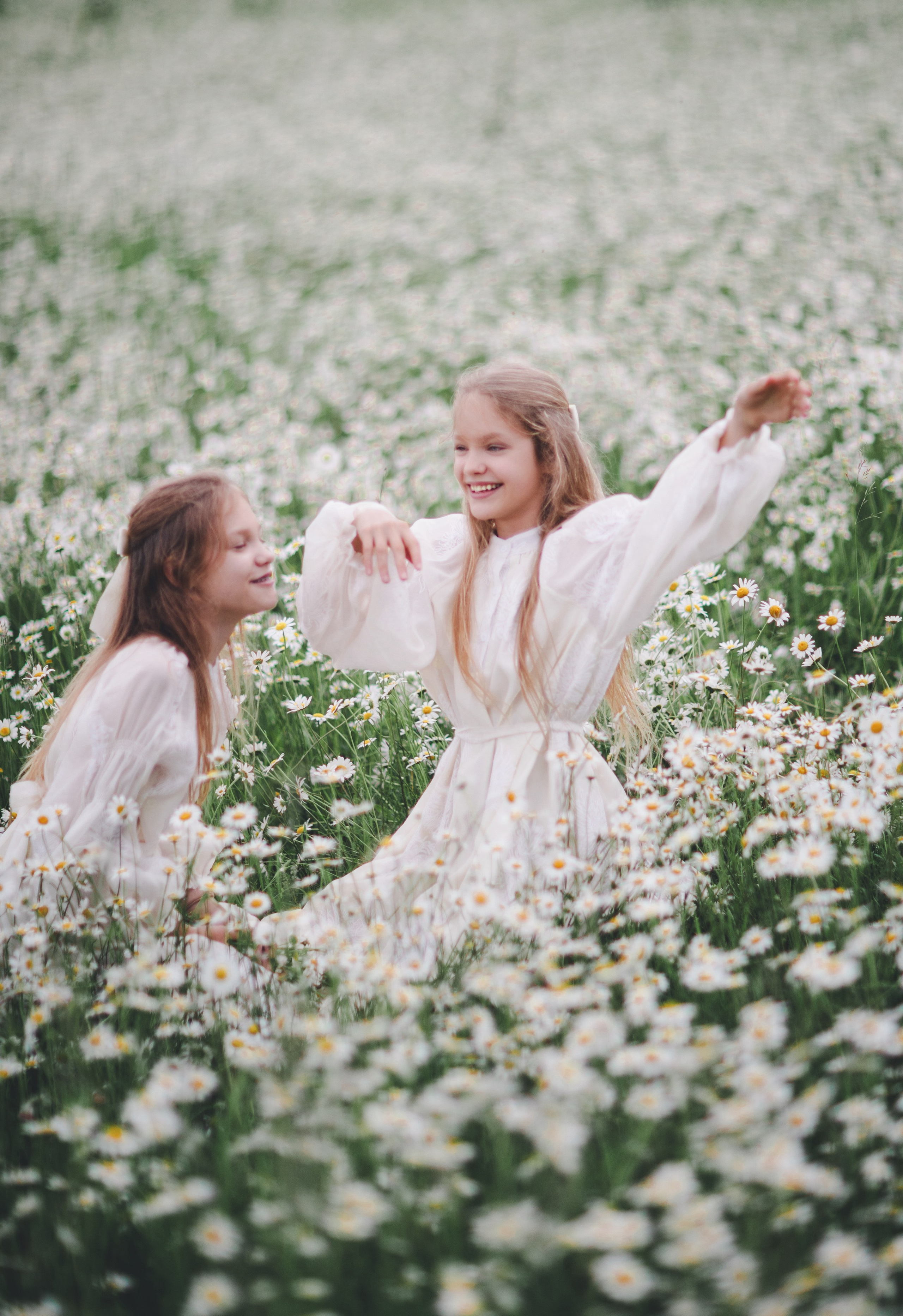 Ромашки 🤍🤍🤍. Семейный фотограф в Москве Анастасия Гурьянова