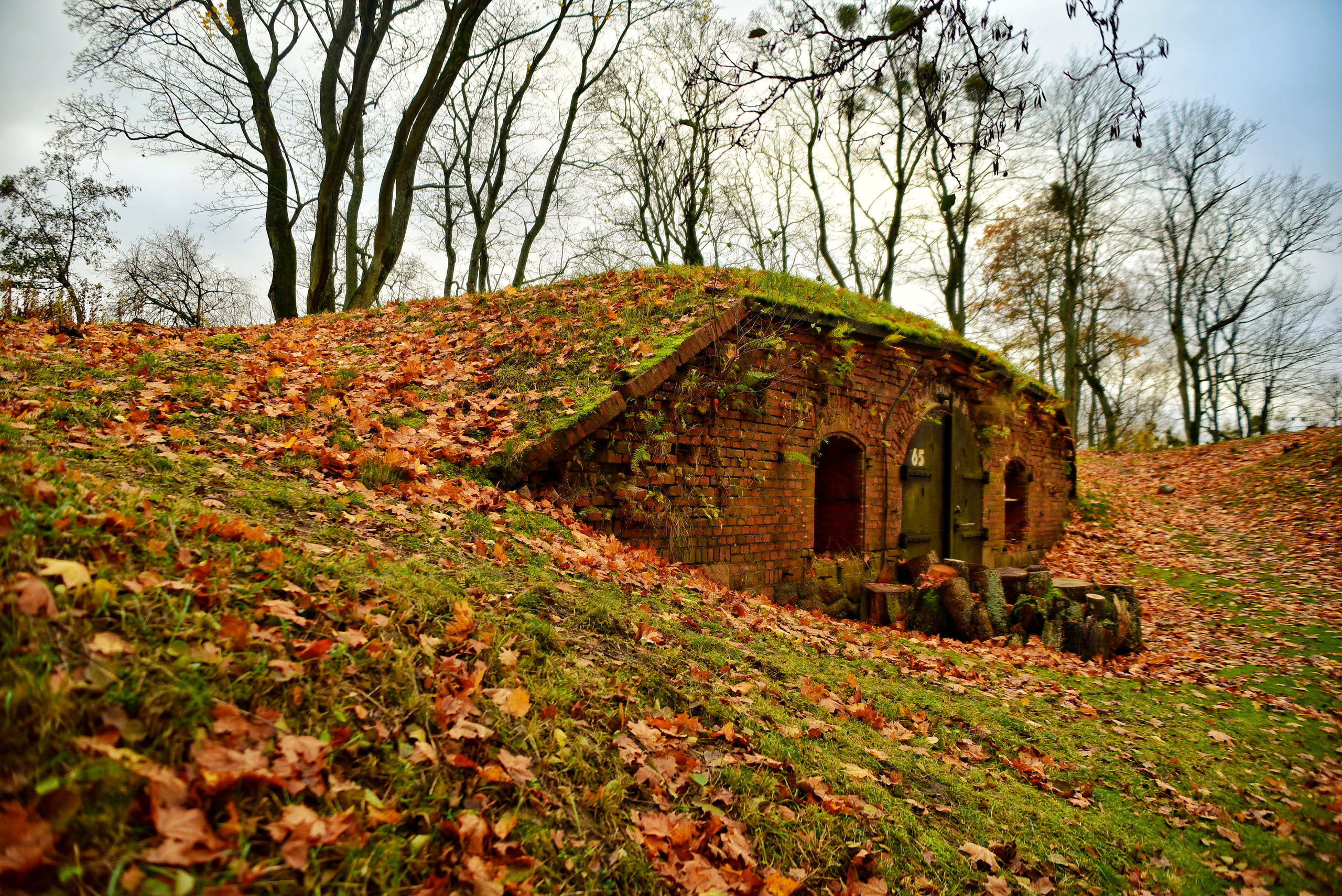 То ещё портфолио