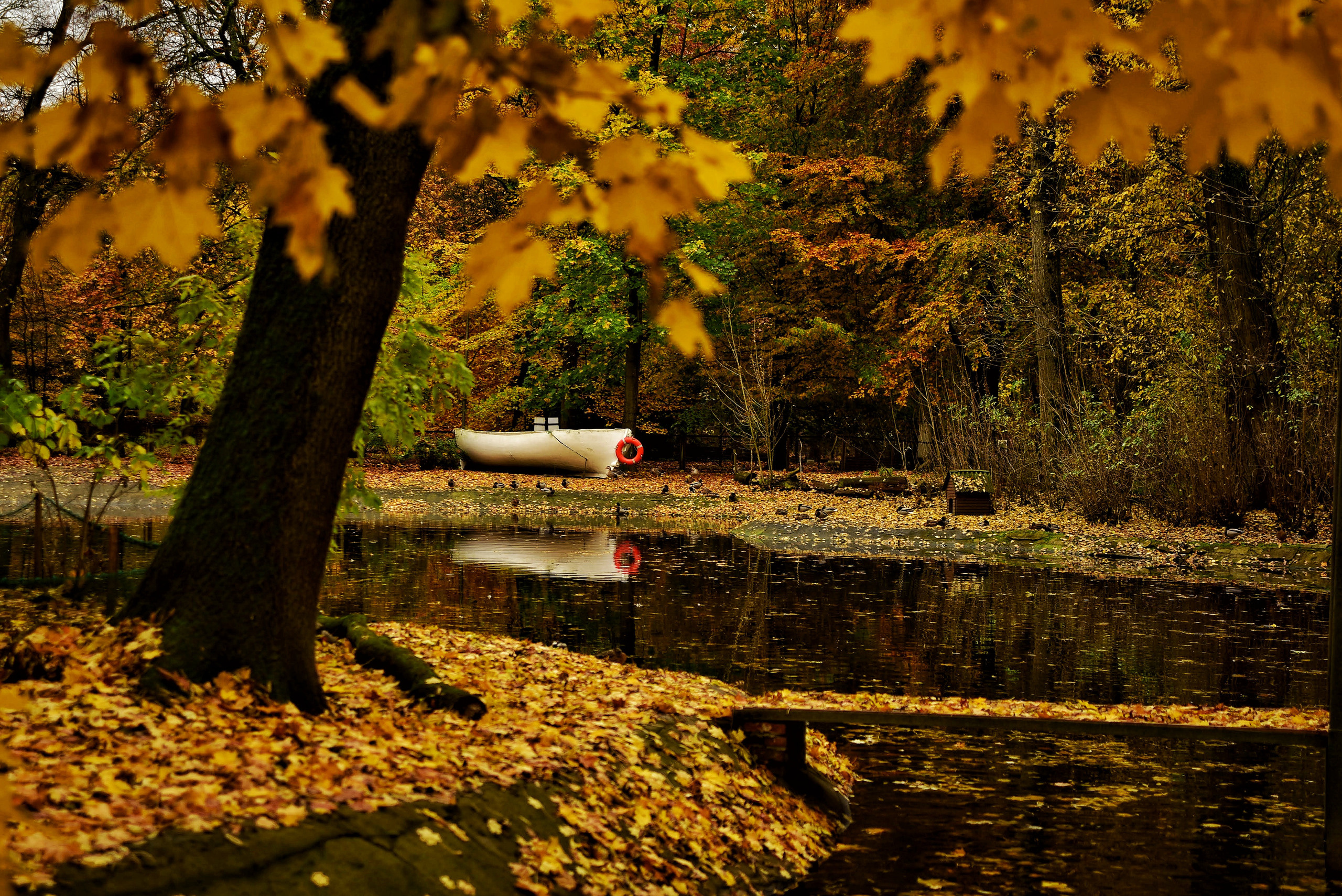 То ещё портфолио