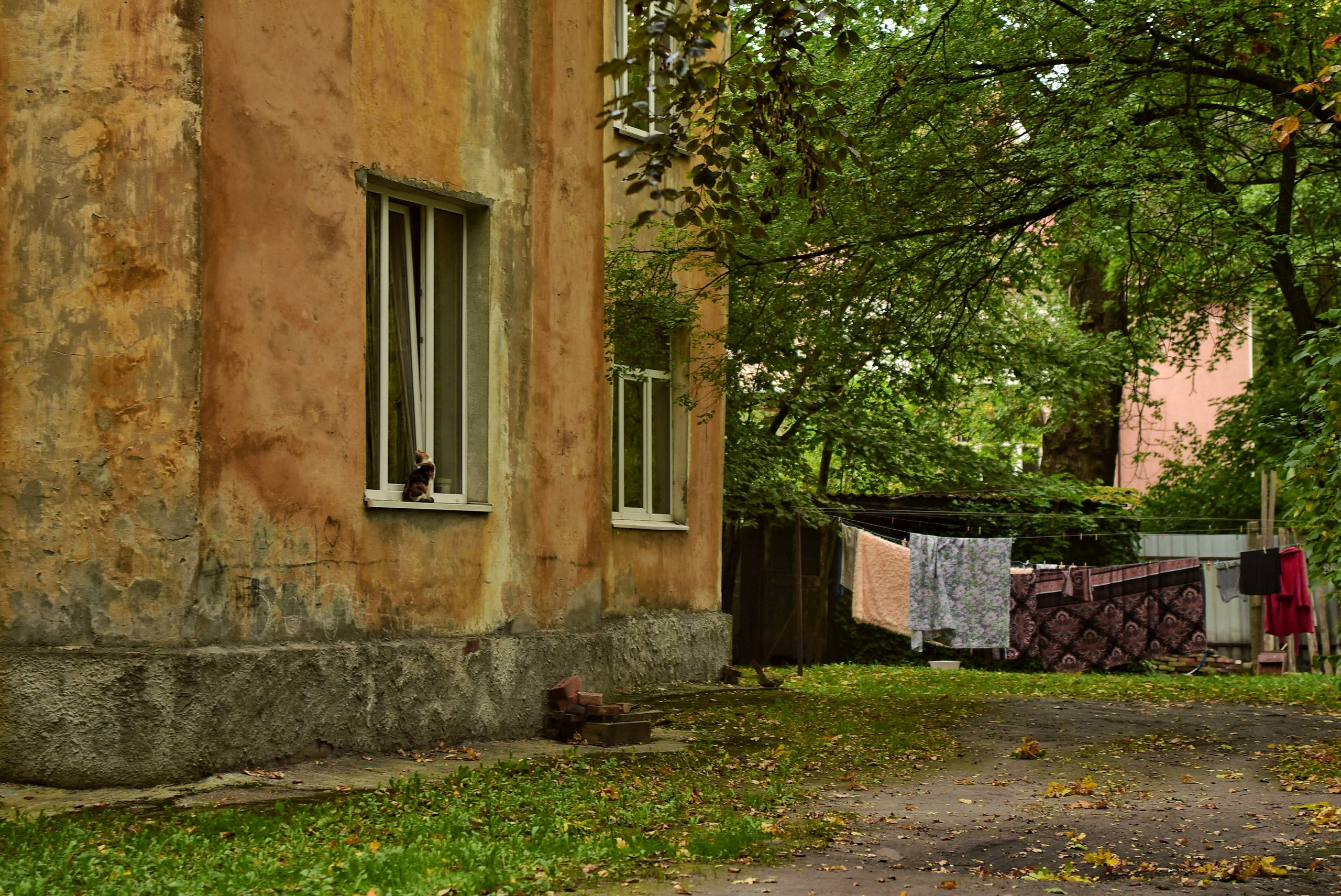 То ещё портфолио