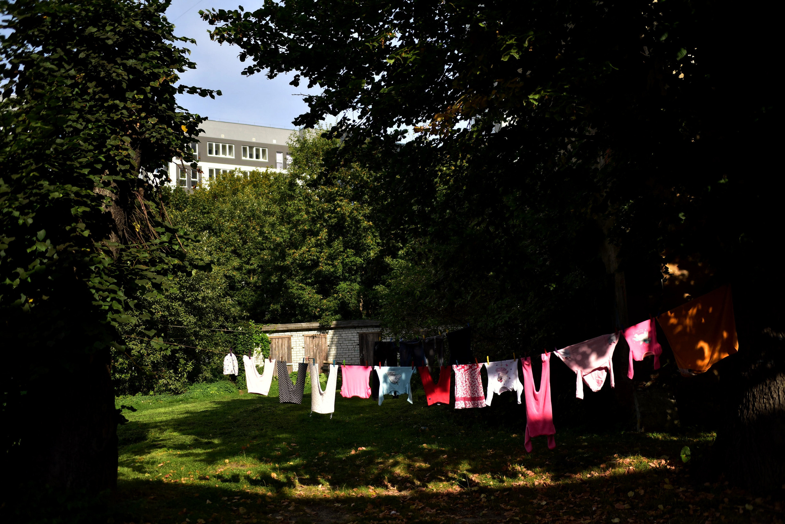 Калининградские дворы и двери. Осень 2020 год. То ещё портфолио