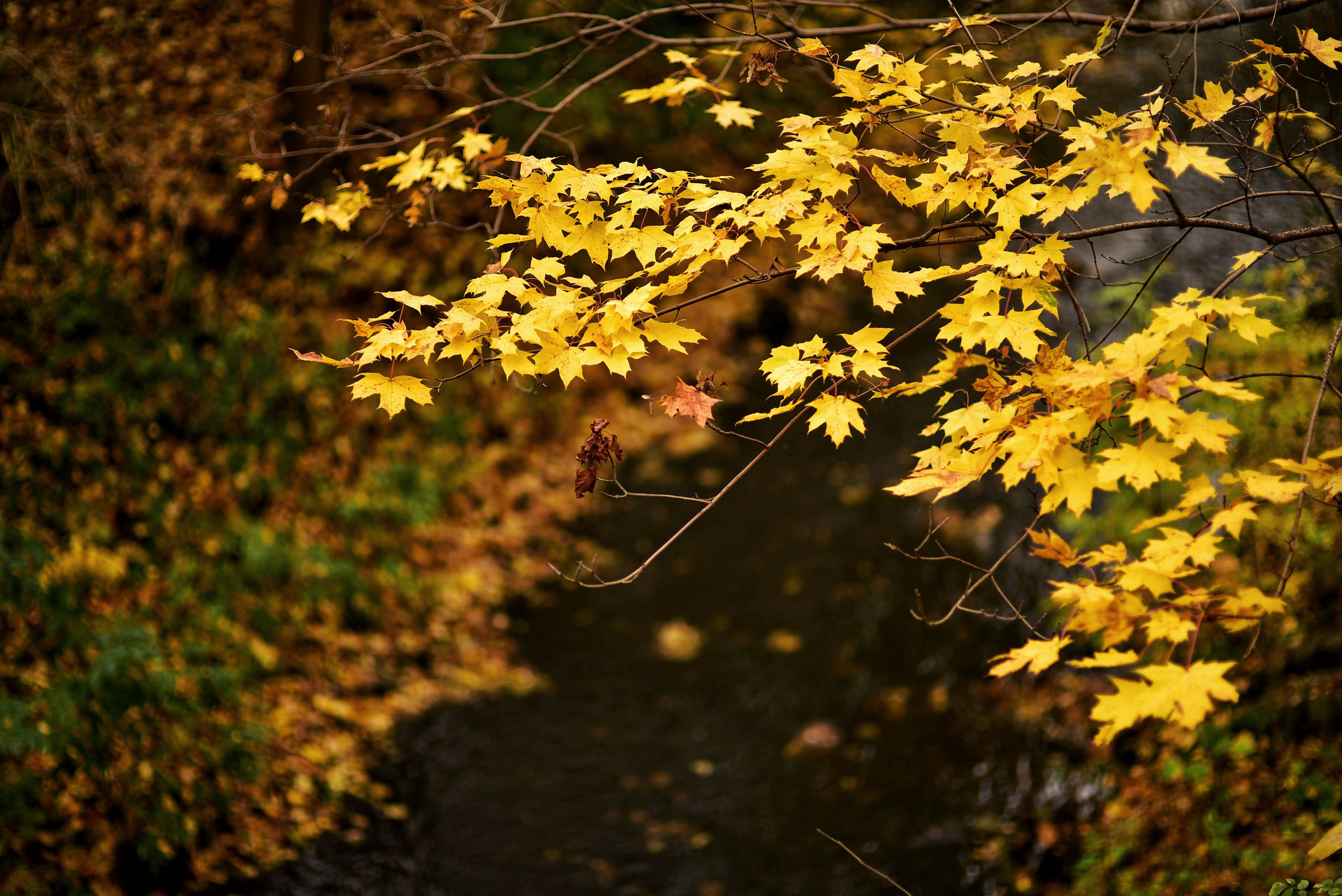 То ещё портфолио