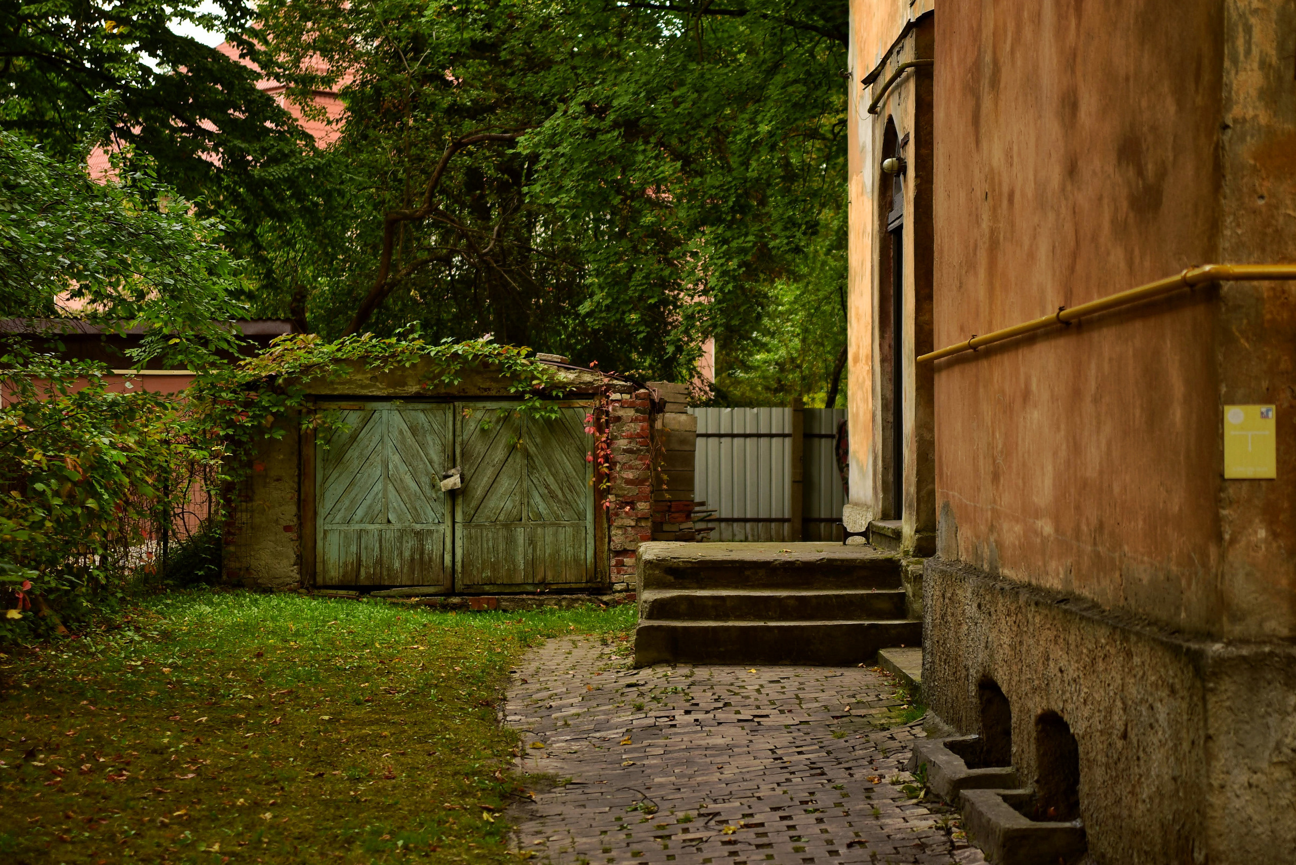 Калининградские дворы и двери. Осень 2020 год. То ещё портфолио