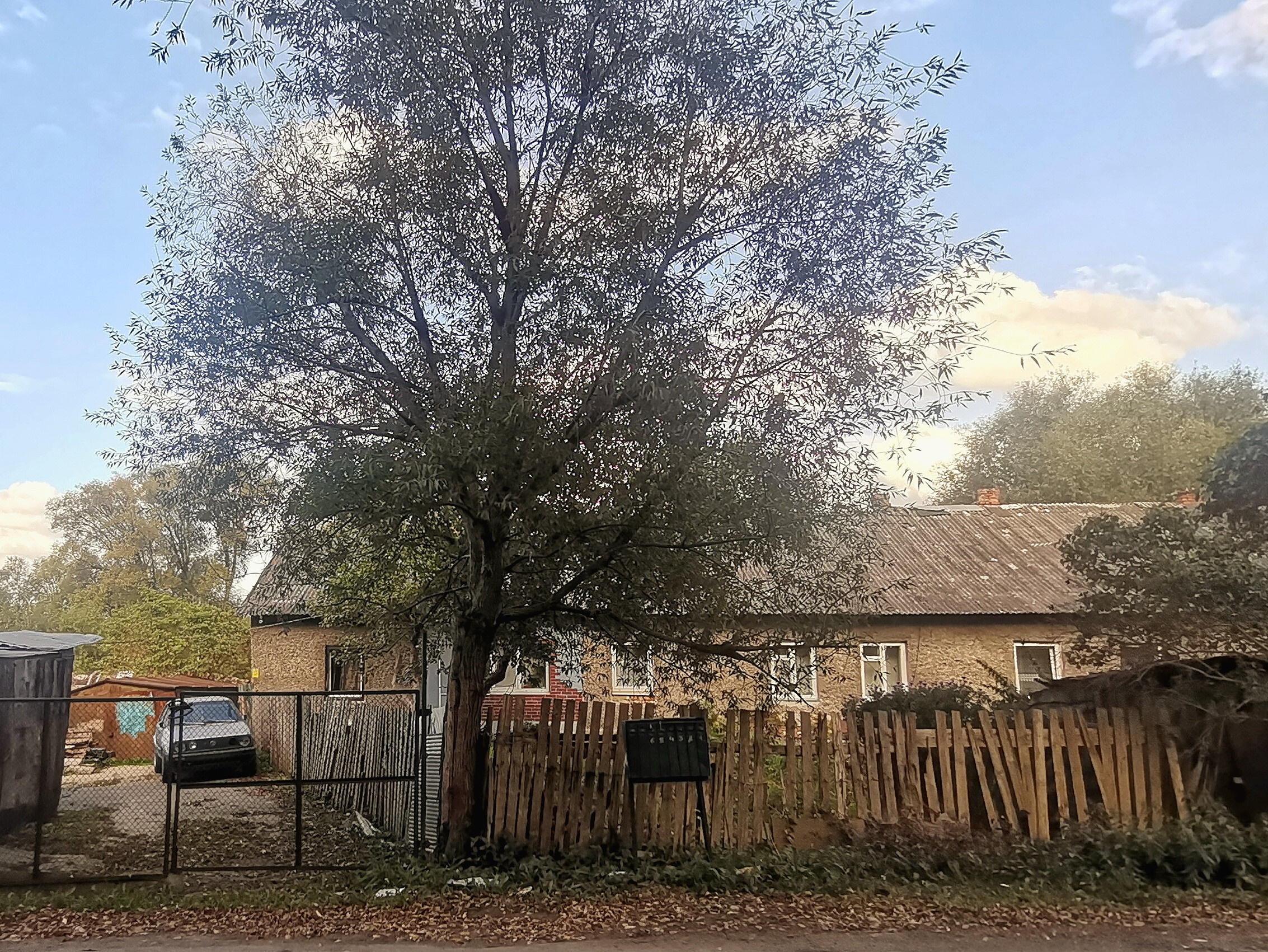 Калининградские дворы и двери. Осень 2020 год. То ещё портфолио