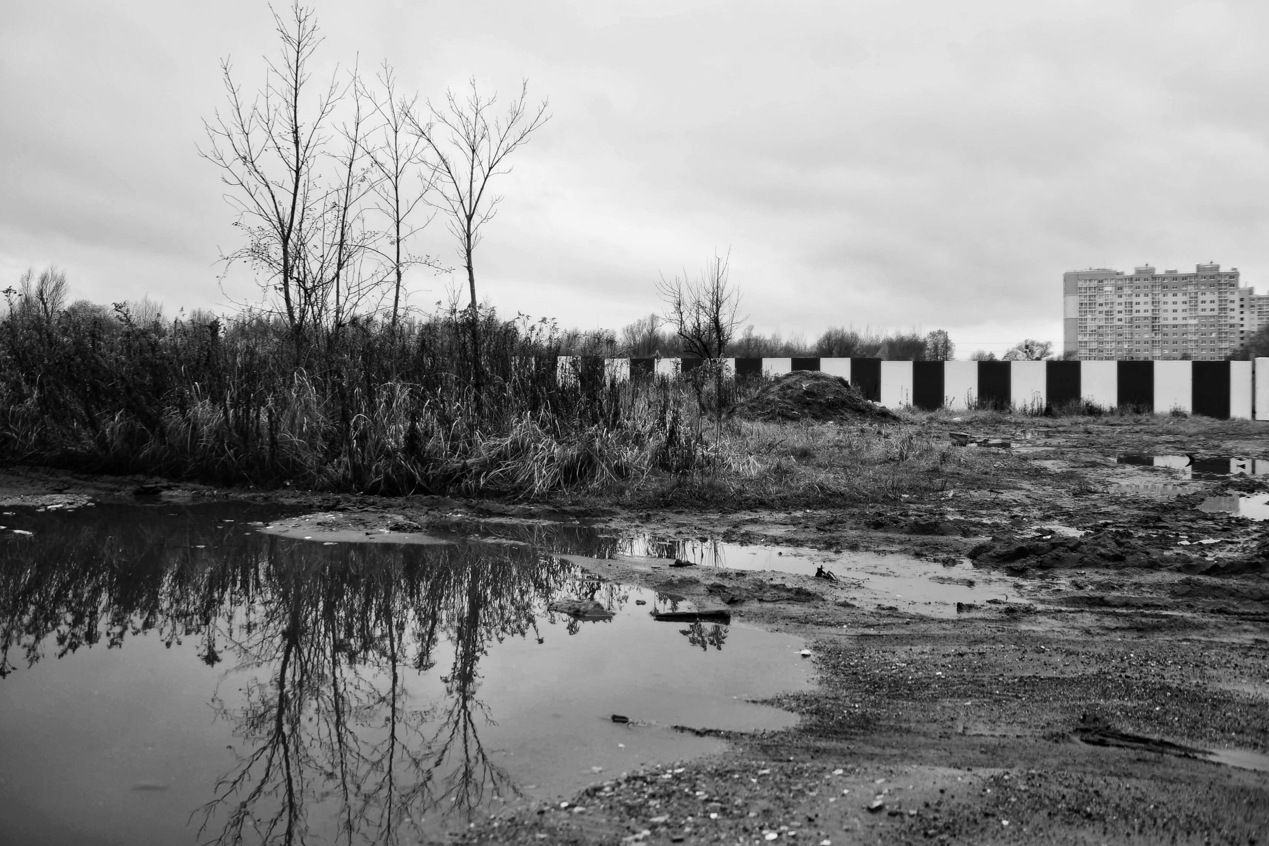 Чёрно-белый Калининград. Осень 2020 год. То ещё портфолио