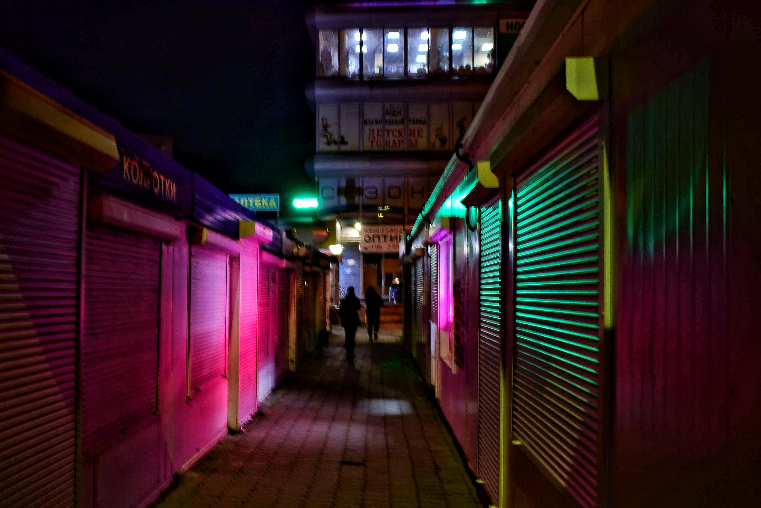 Калининградские дворы и двери. Осень 2020 год. То ещё портфолио