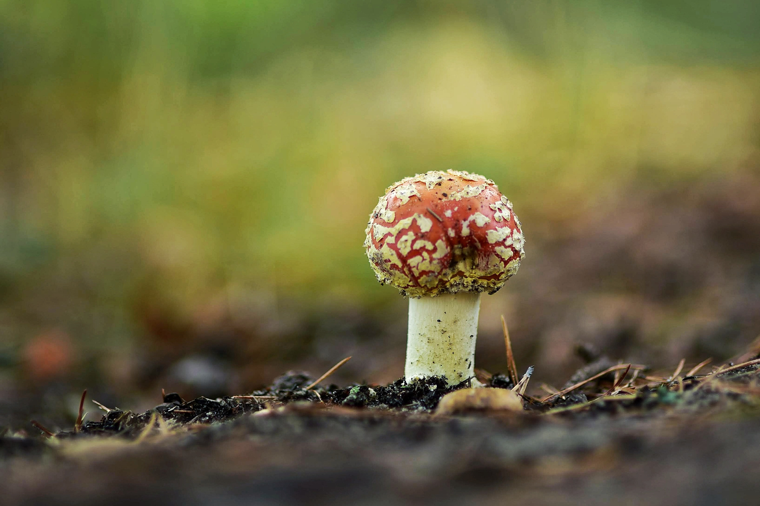 То ещё портфолио