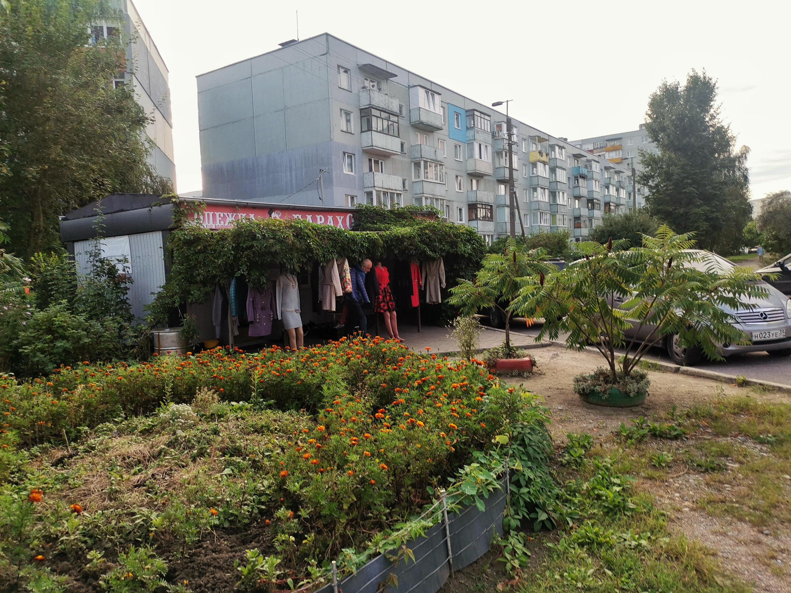 Калининградские дворы и двери. Осень 2020 год. То ещё портфолио