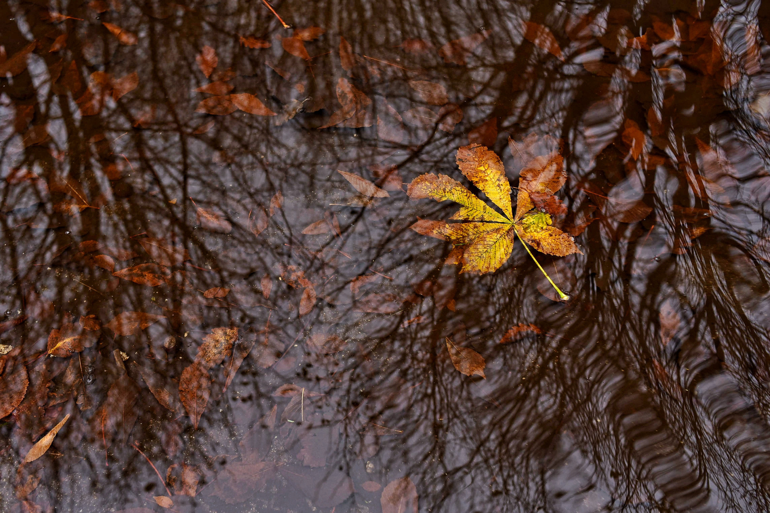 То ещё портфолио