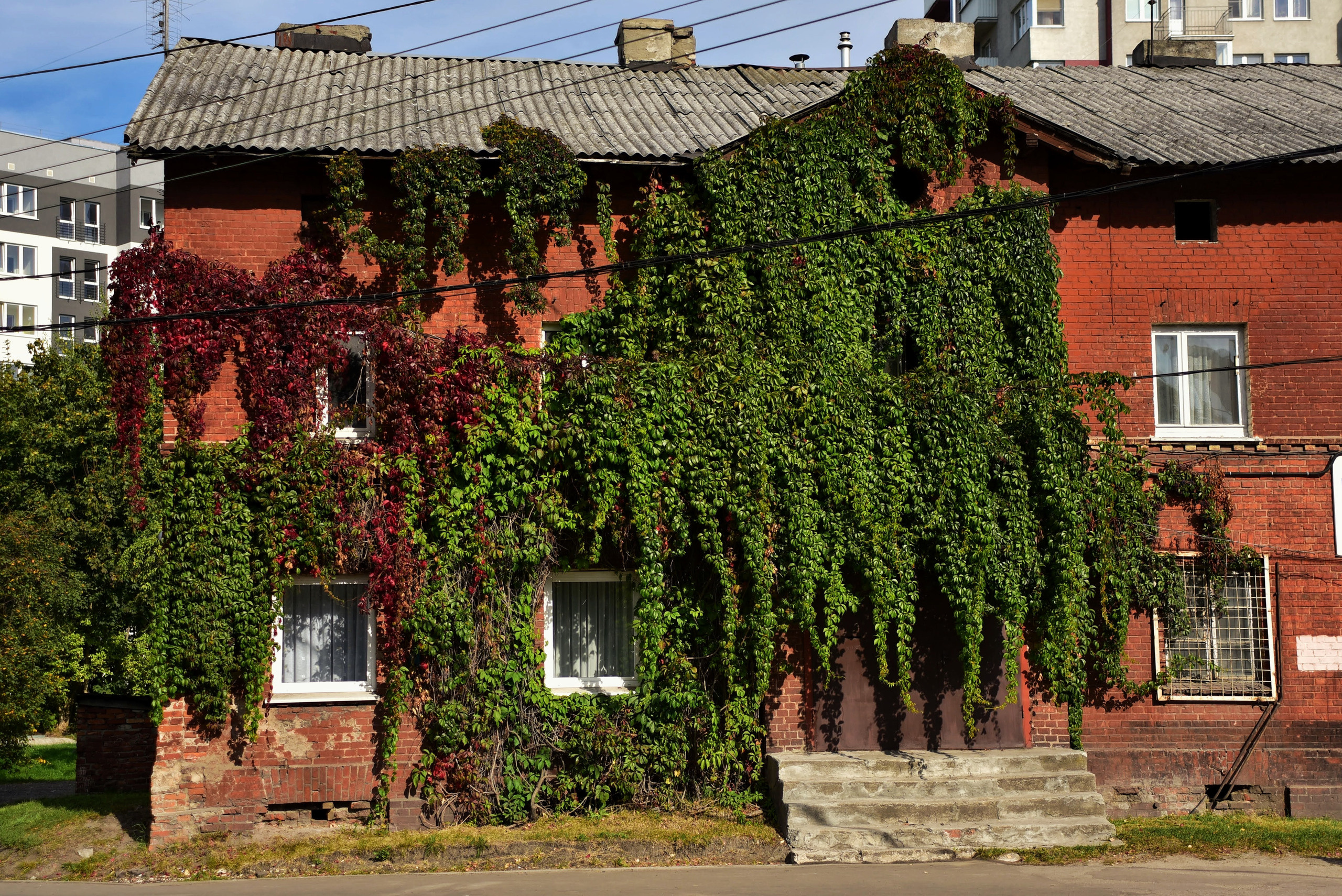 Калининградские дворы и двери. Осень 2020 год. То ещё портфолио