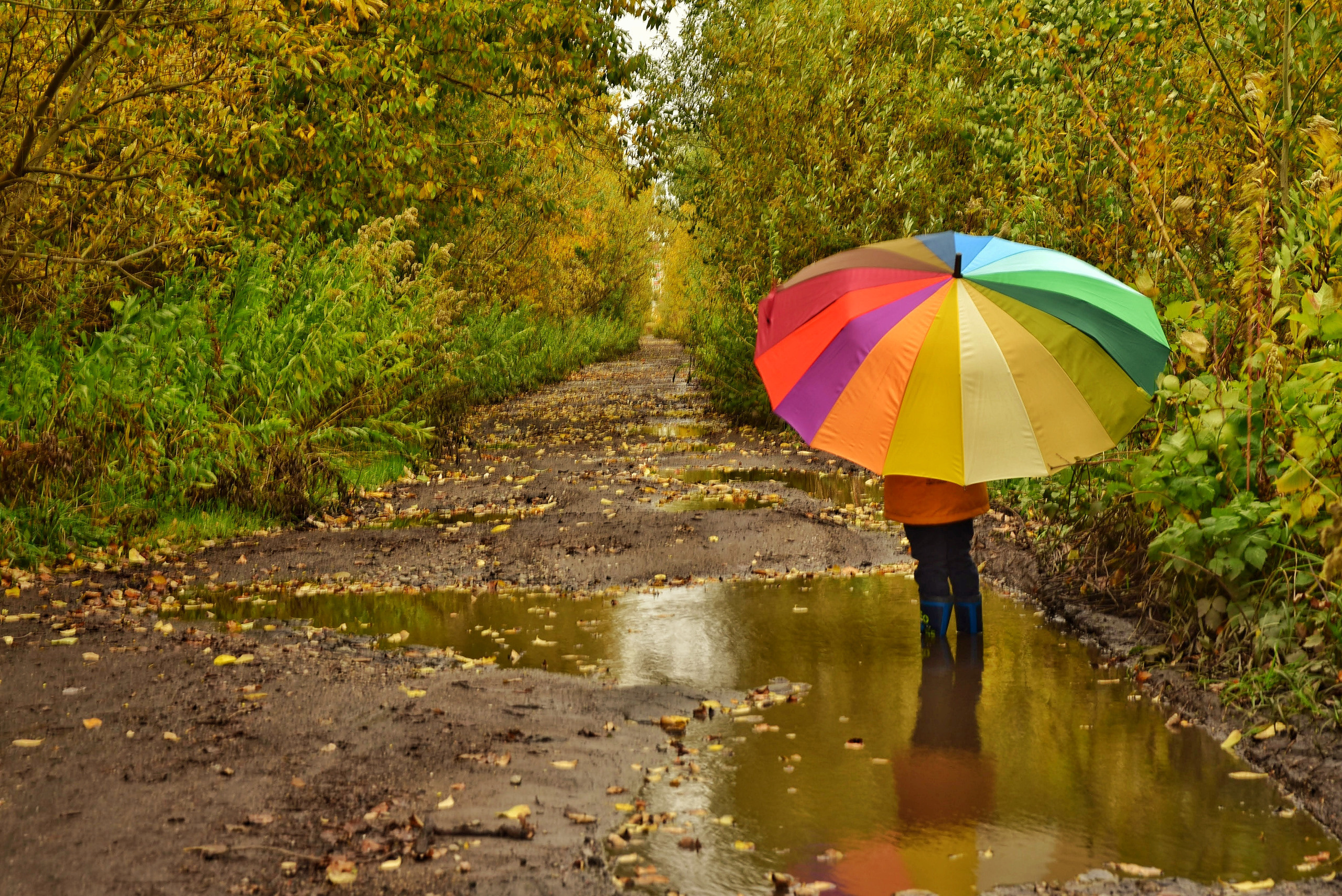 То ещё портфолио