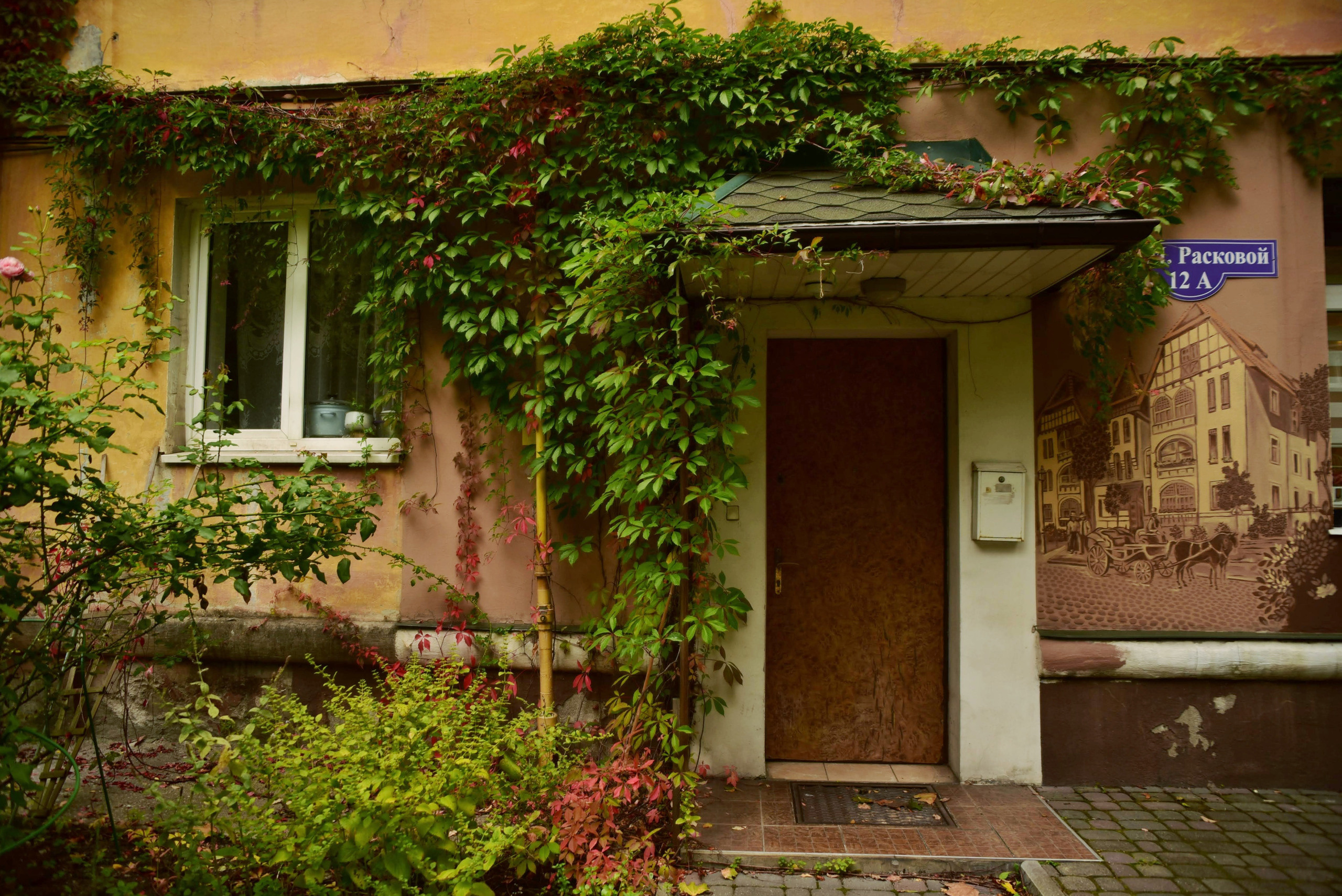 Калининградские дворы и двери. Осень 2020 год. То ещё портфолио