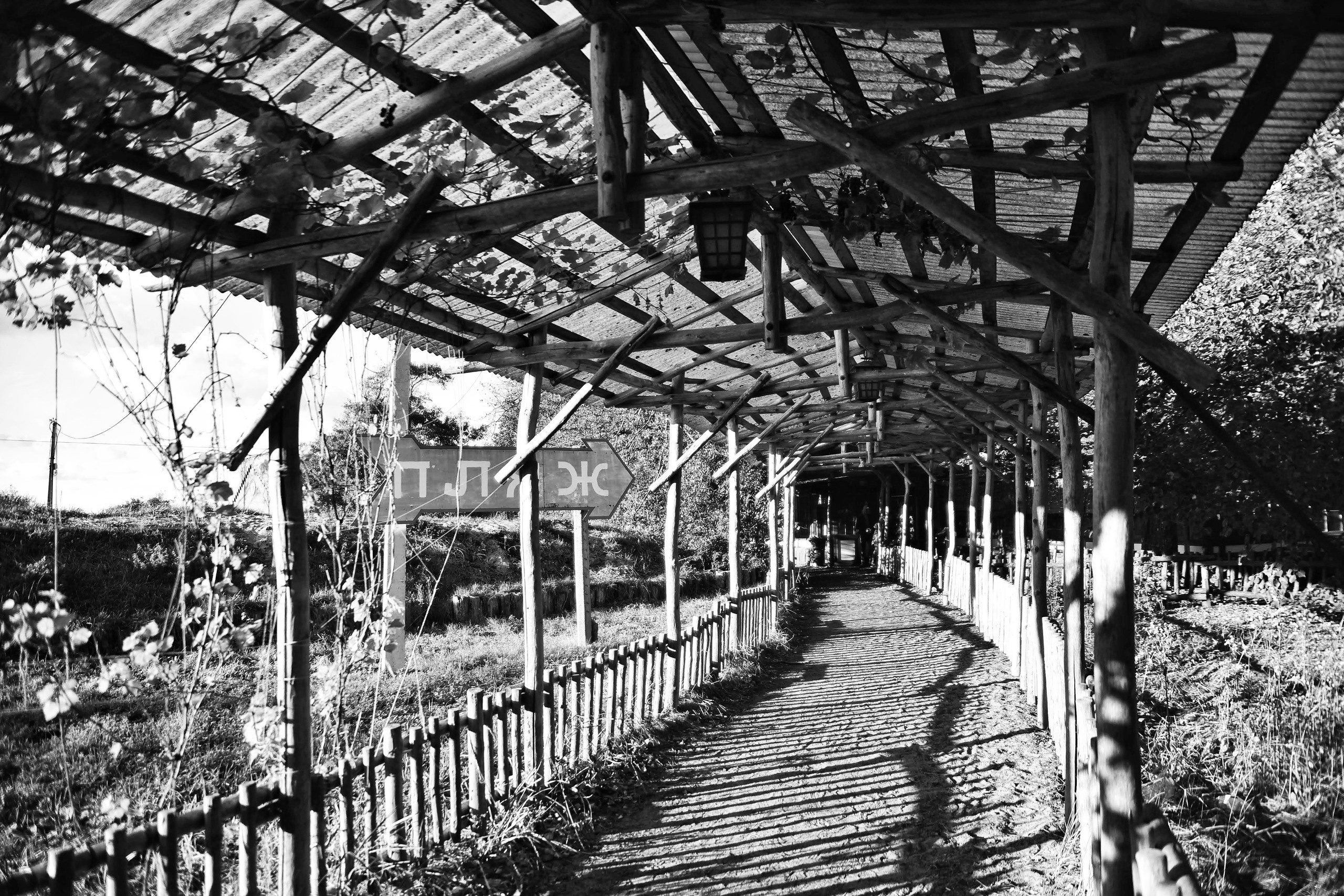 Чёрно-белый Калининград. Осень 2020 год. То ещё портфолио