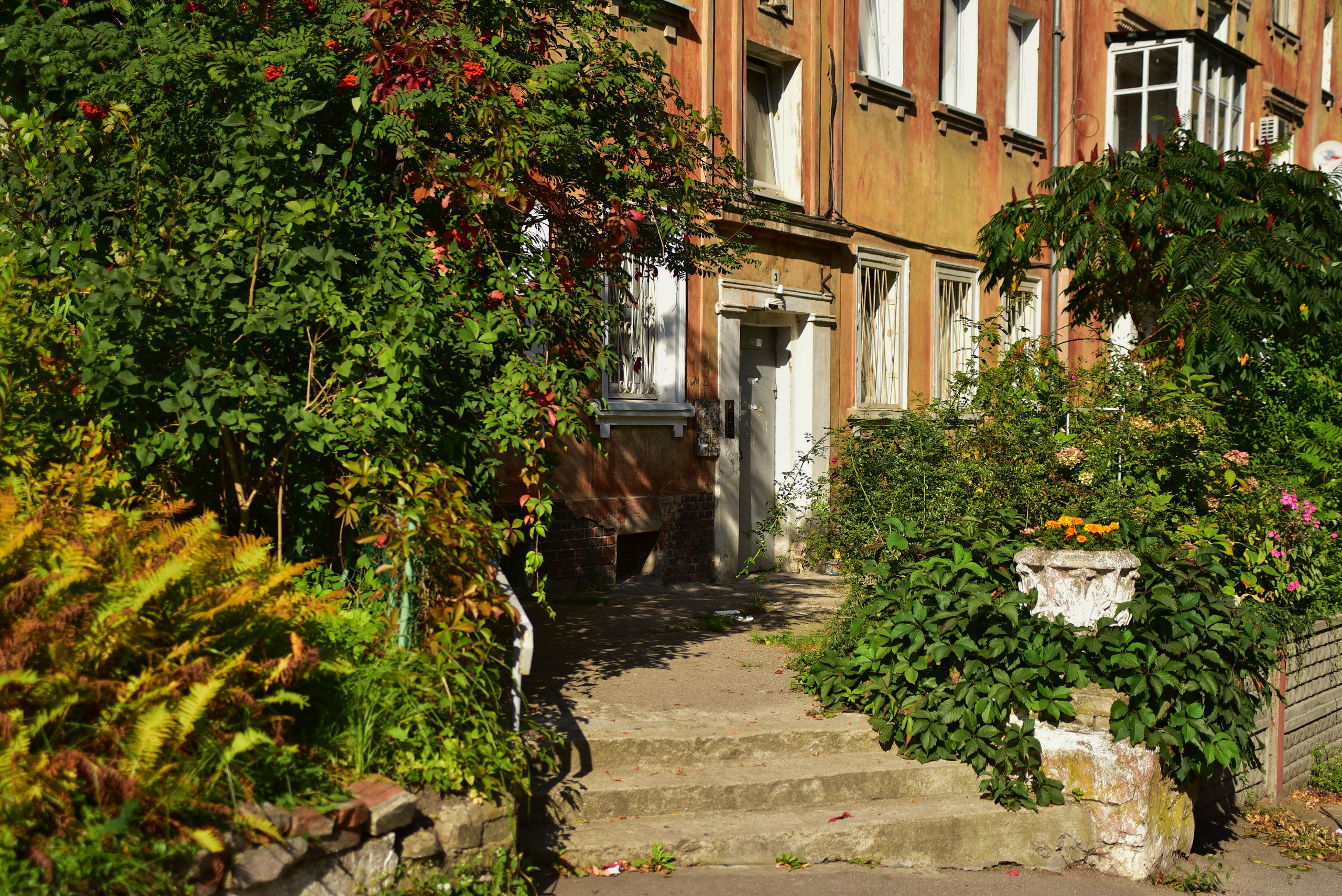 Калининградские дворы и двери. Осень 2020 год. То ещё портфолио